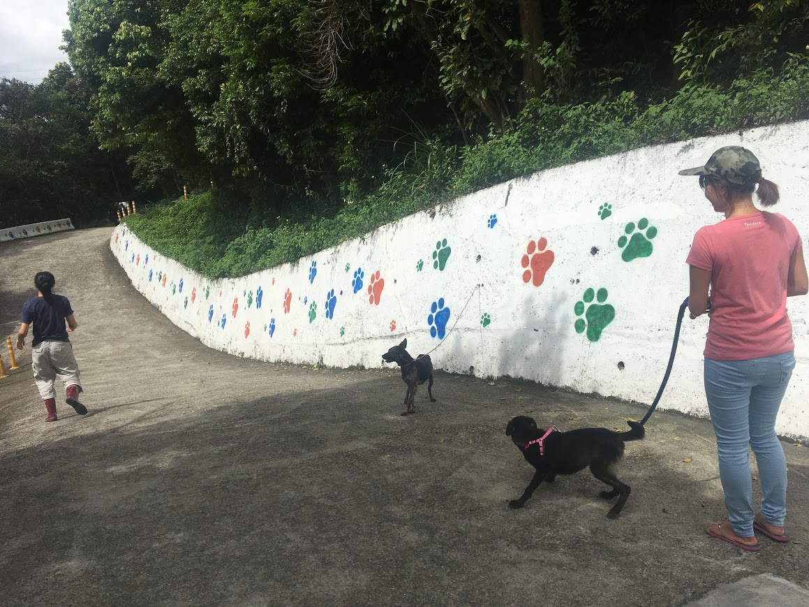 新北市雷厲風行拆違建，竟有民代認為五股動物之家占用林地保護區為違建，必須一視同仁。（翻攝新北市動保處官網）