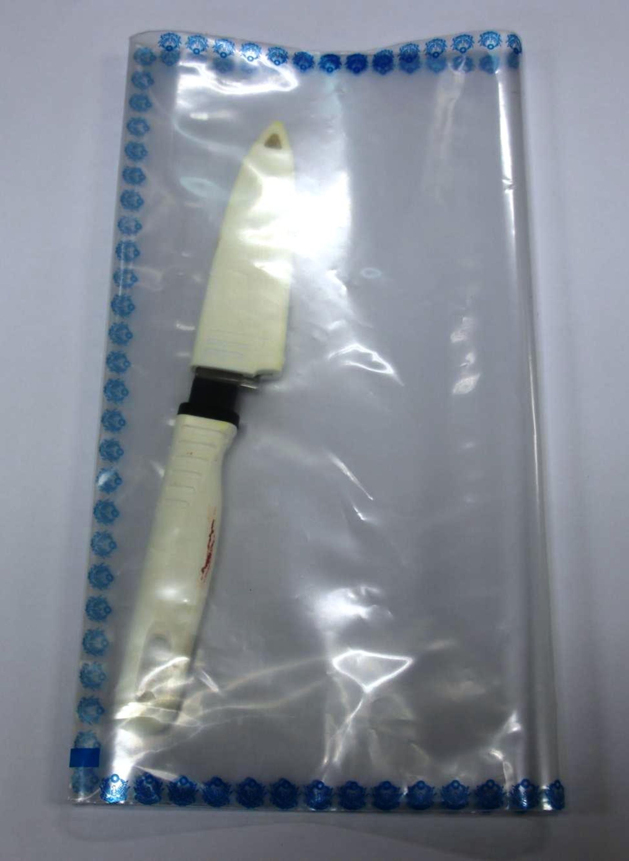 陳嫌事先準備好用來刺殺學妹的水果刀。（翻攝畫面）