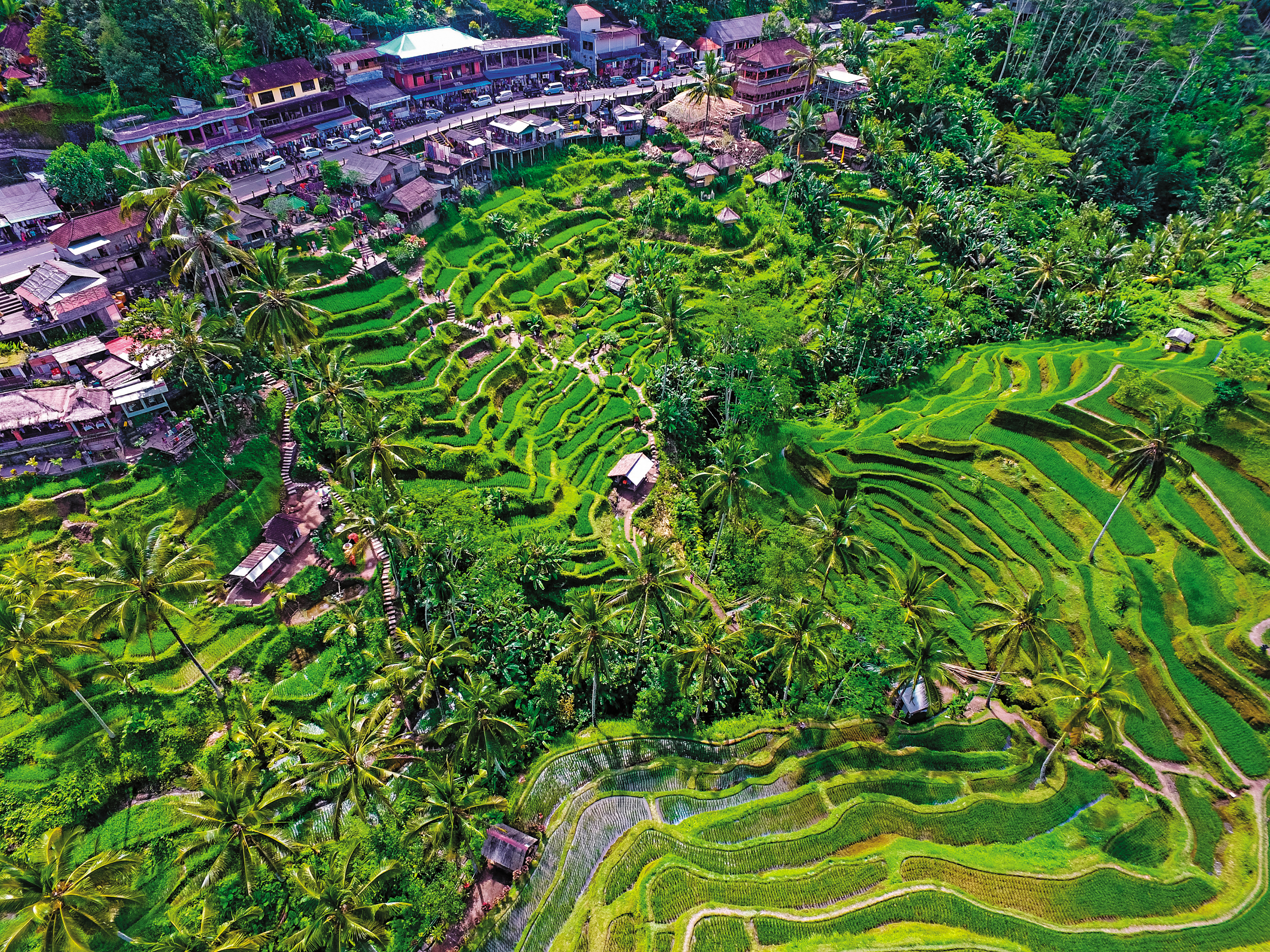 從空中看「德哥拉朗梯田」， 像一幅巨大的油畫。