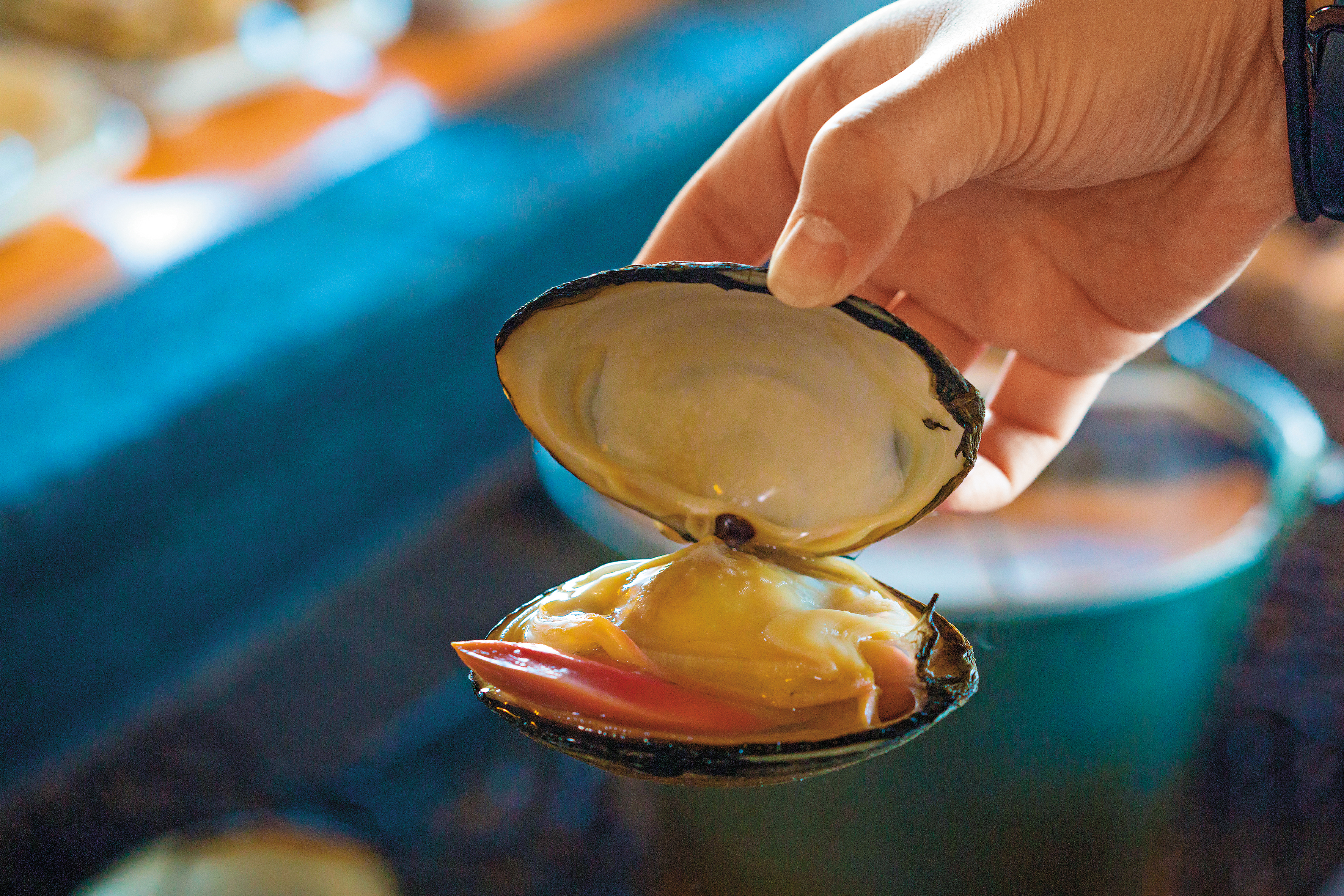 「炙屋」裡也可以吃到巨無霸的大蛤。（380日圓／顆，約NT$99）