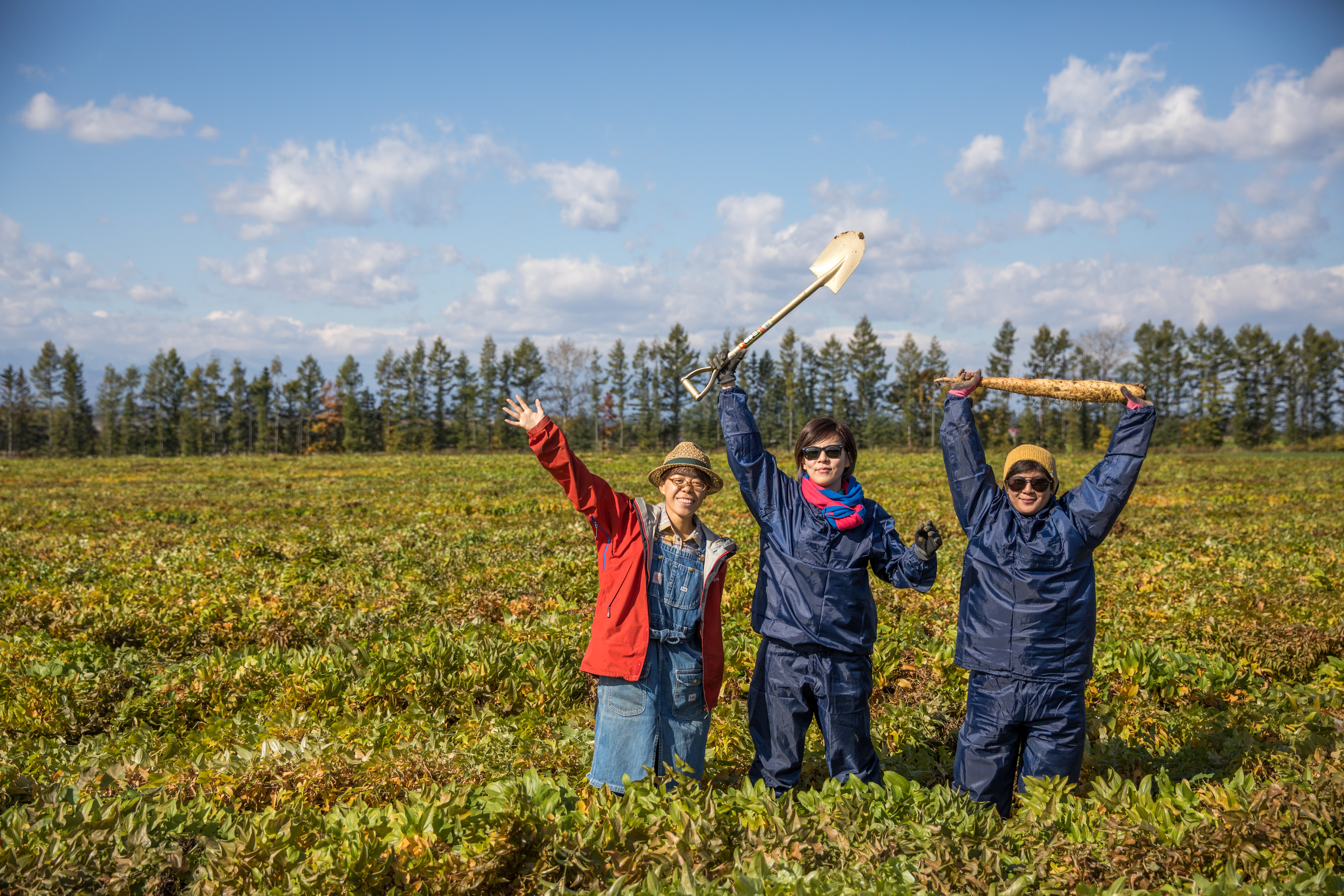 「道下広長農場」提供旅客拔山藥體驗活動，運氣好或許還可把巨無霸山藥帶回家。