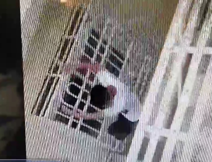 岡山惡少平時囂張凶狠，遇到警察嚇的跳窗想逃。（警方提供）