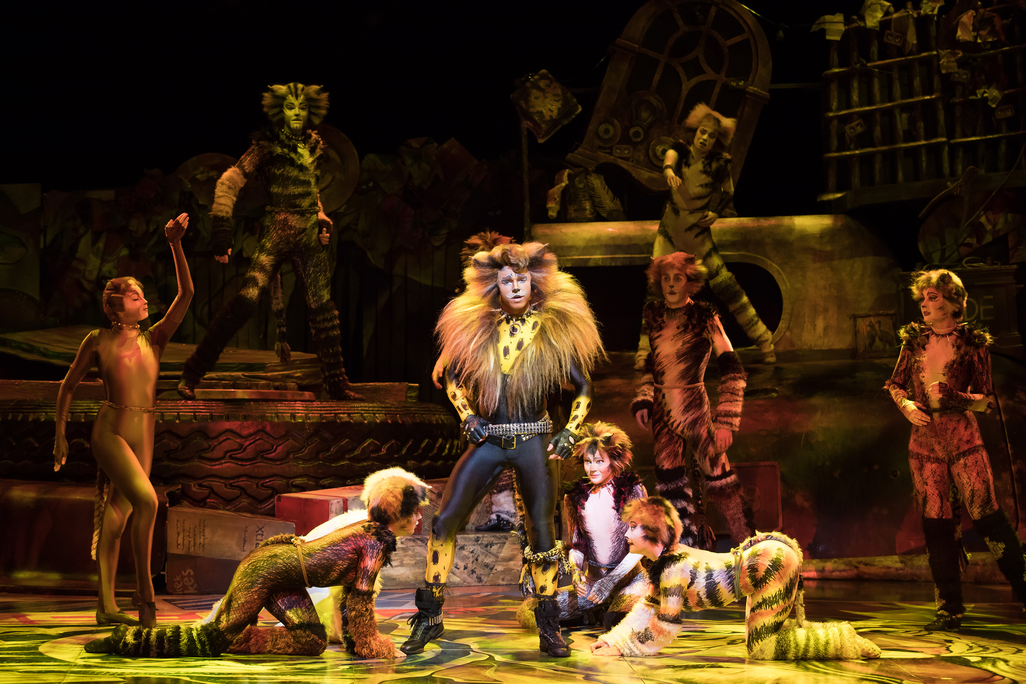 百老匯經典歌舞劇《貓》明年3月將重返台灣開唱。（寬宏藝術提供）