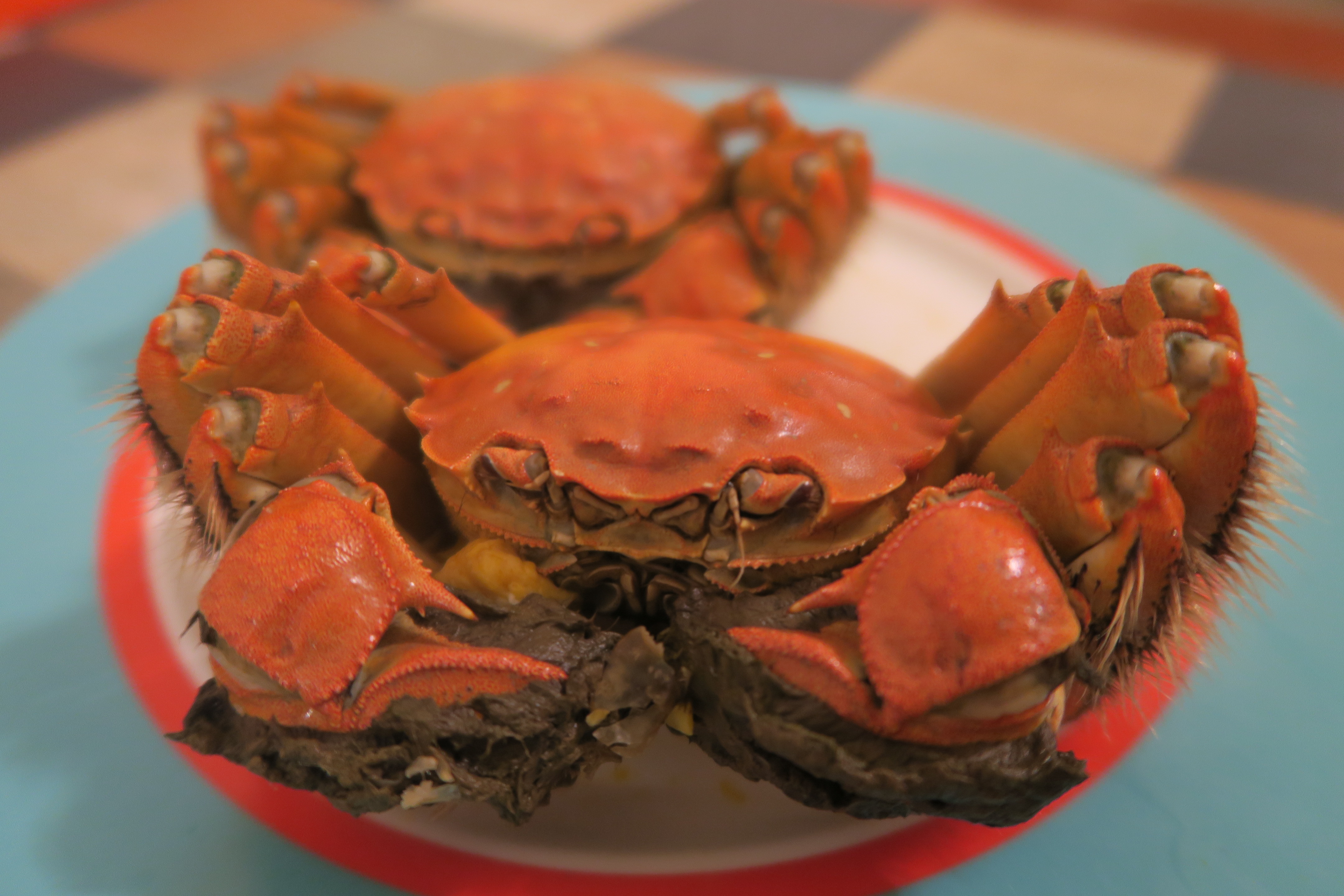 外表紅豔、還冒著熱氣的大閘蟹，讓老饕一看就心癢難耐。