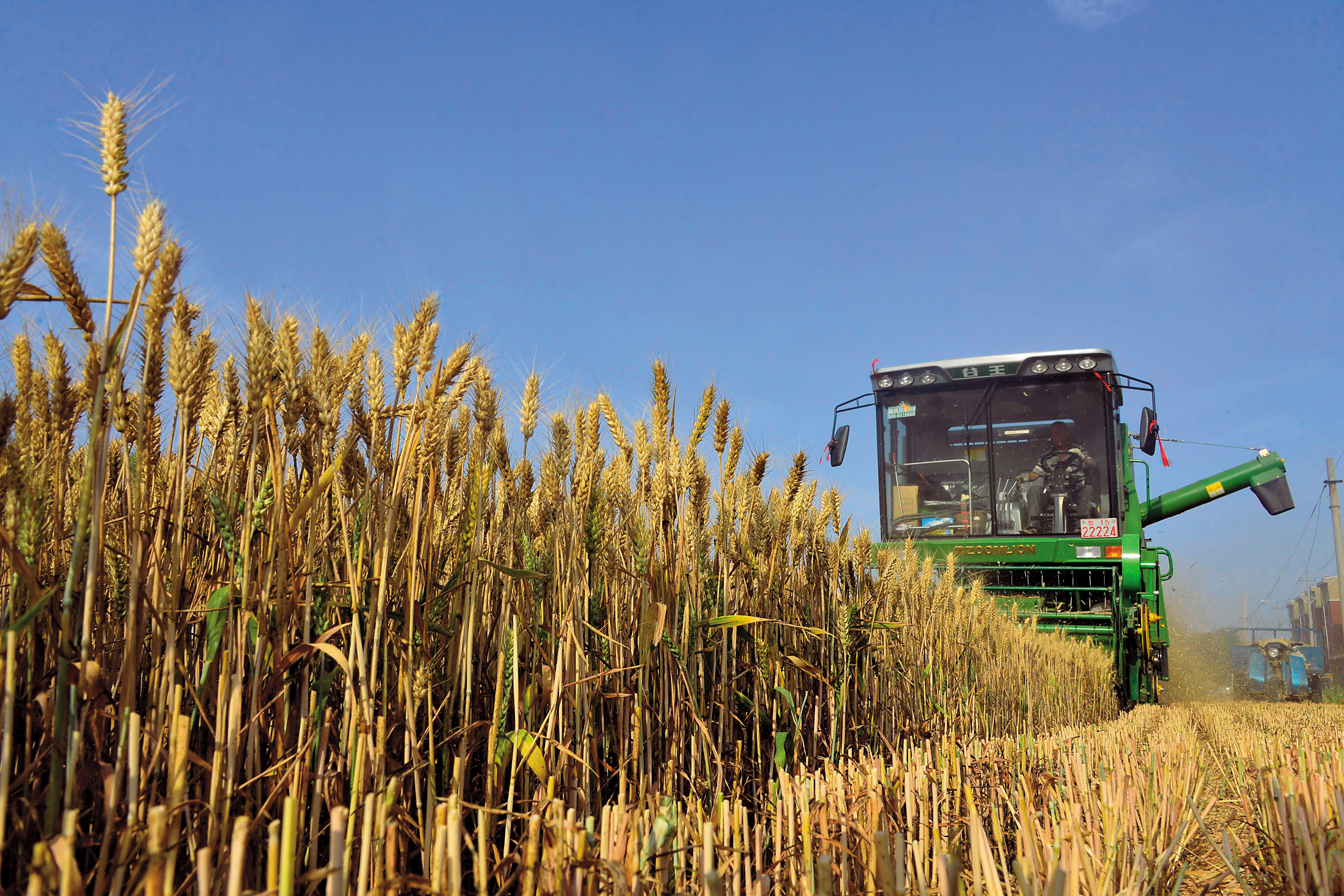 反聖嬰現象會造成全球氣候異常，影響農產品價格，進而推升通膨。（東方IC）