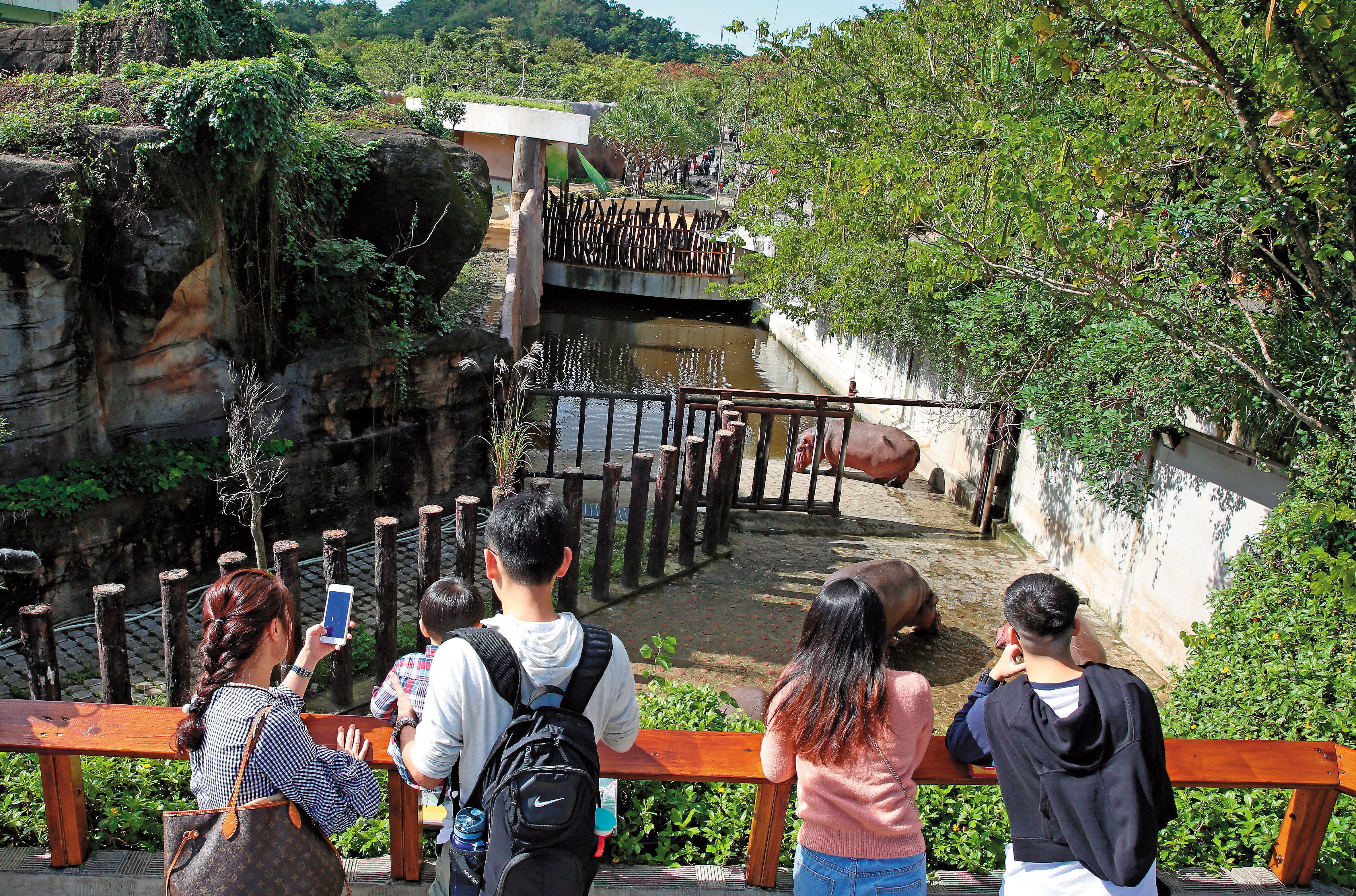 和牧野渡假村相比，木柵動物園（圖）的空間明顯較小，但動物配得的空間都在國際標準之上。