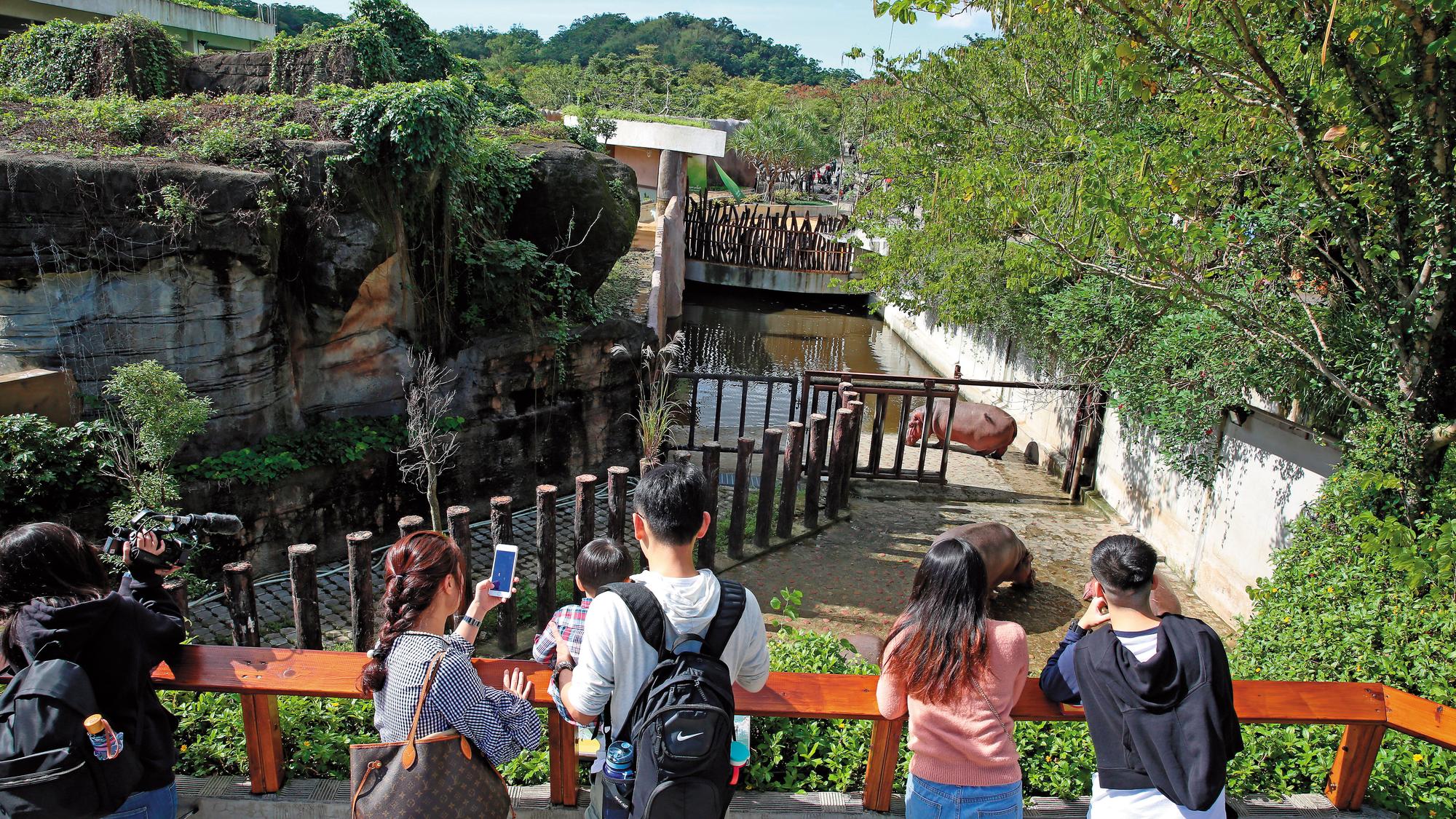 和牧野渡假村相比,木柵動物園(圖)的空間明顯較小,但動物配得的空間都在國際標準之上。