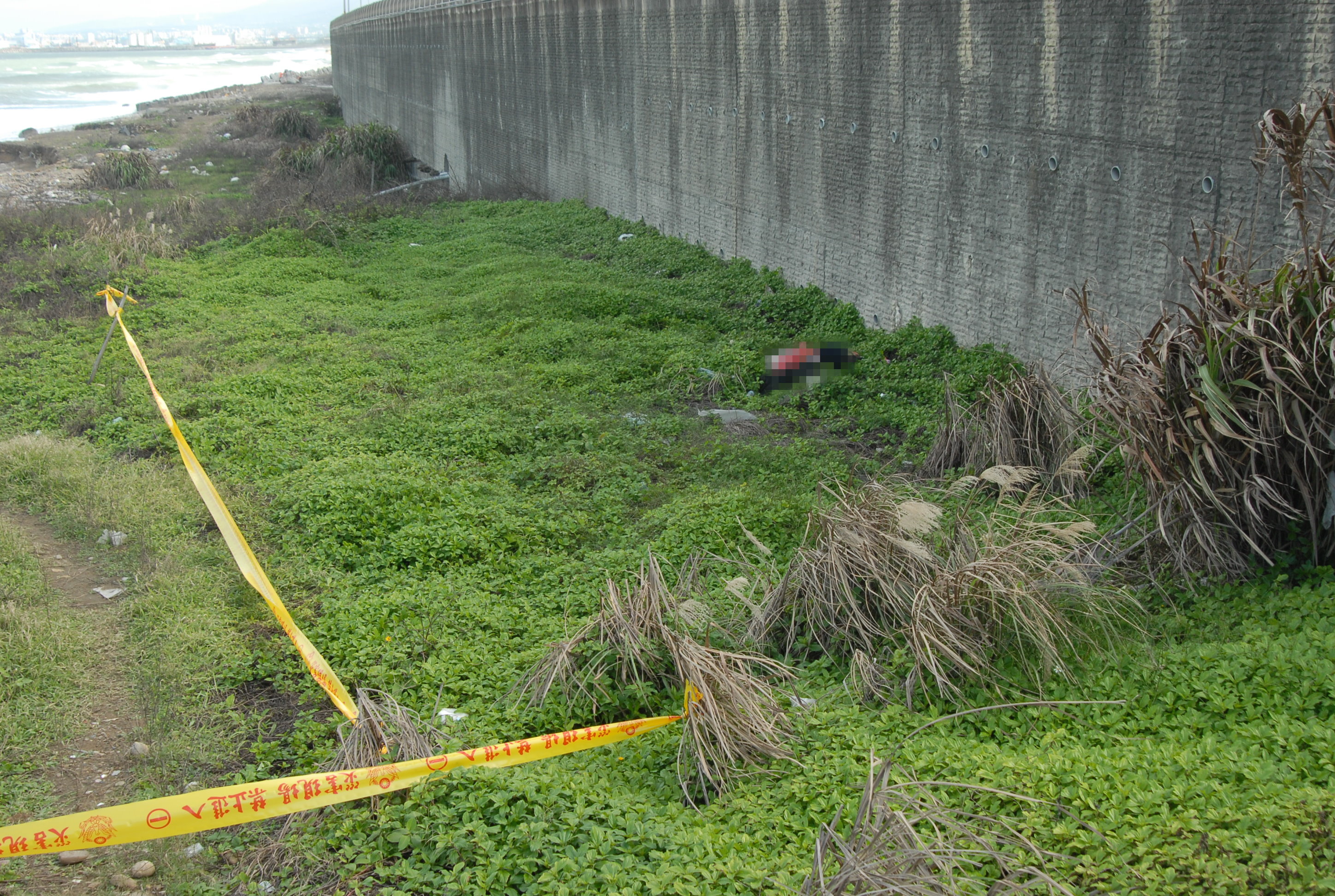 許嫌殺人後，將屍體棄置林口海邊。
