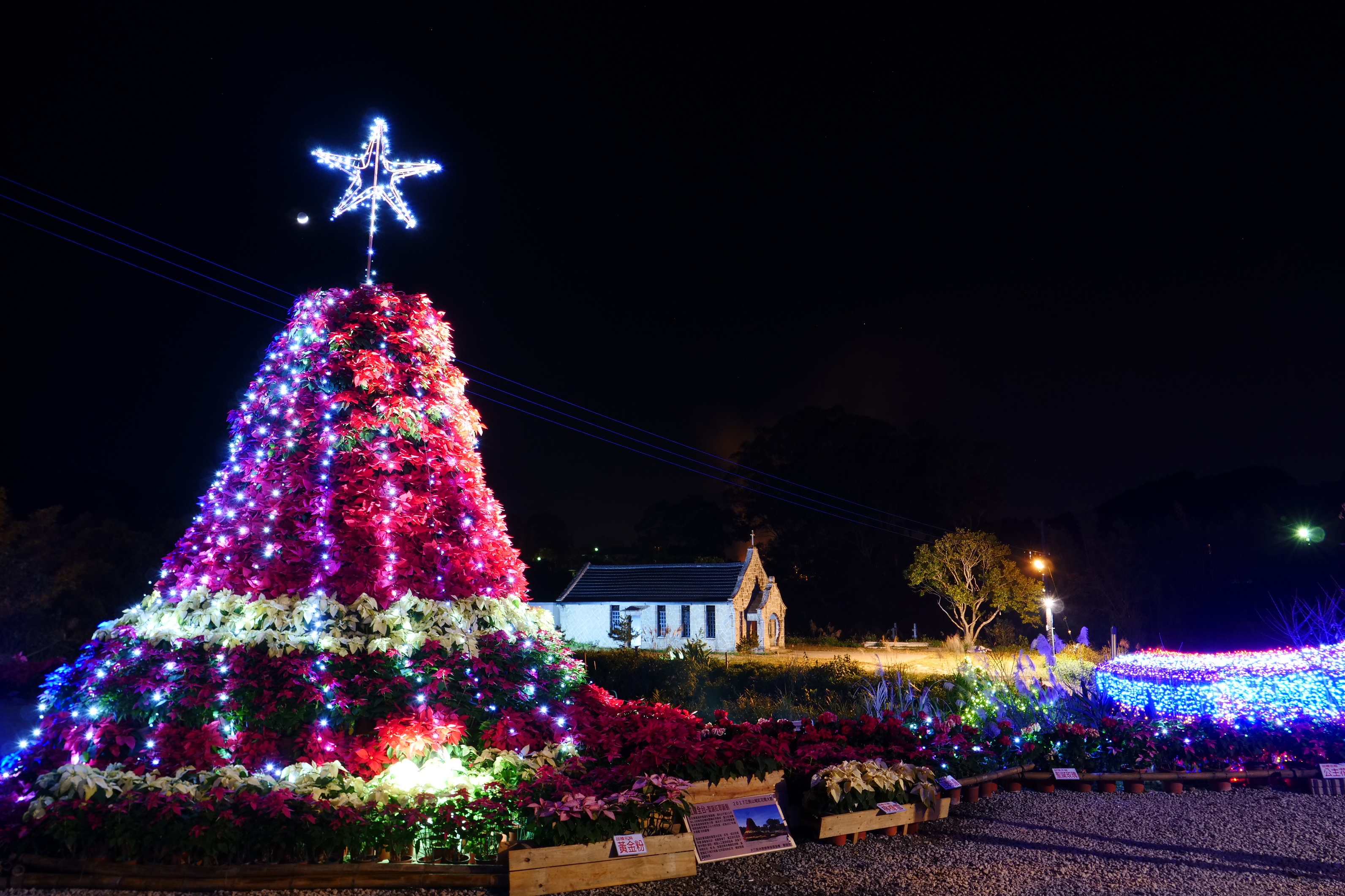 紅花、燈火交織的「2017三民山城紅花燈火節」。
