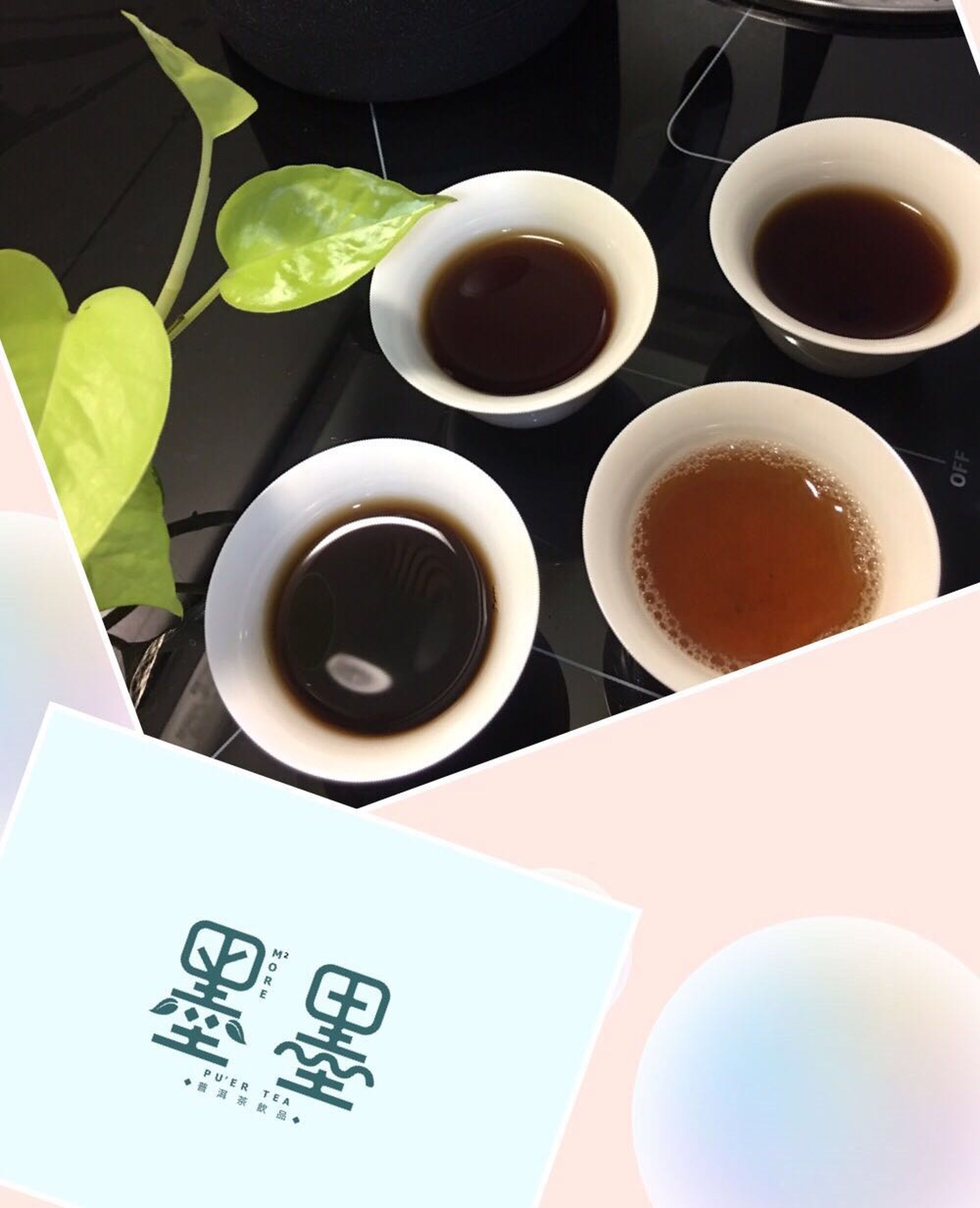 彭少儀和母親陳莉容，準備於2018年4月在竹北新開以普洱茶為主商品的茶飲店『墨墨』，區隔一般茶飲口味。（彭少儀提供）
