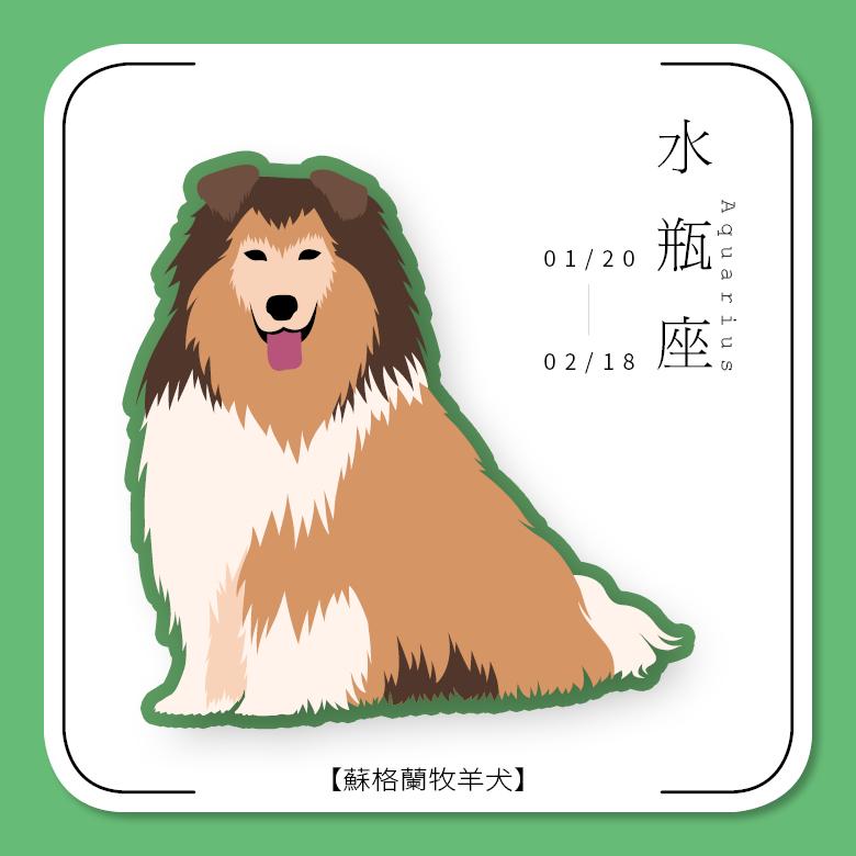水瓶座。