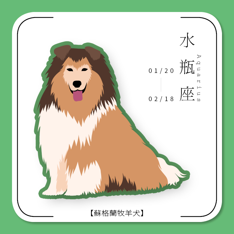 水瓶座。