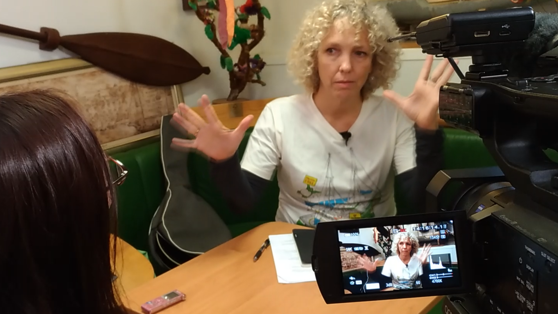 綠色和平全球執行長珍妮佛‧摩根說，煤已非燃料首選，可再生能源相對便宜、效率高又環保。（蔡宗儒攝）