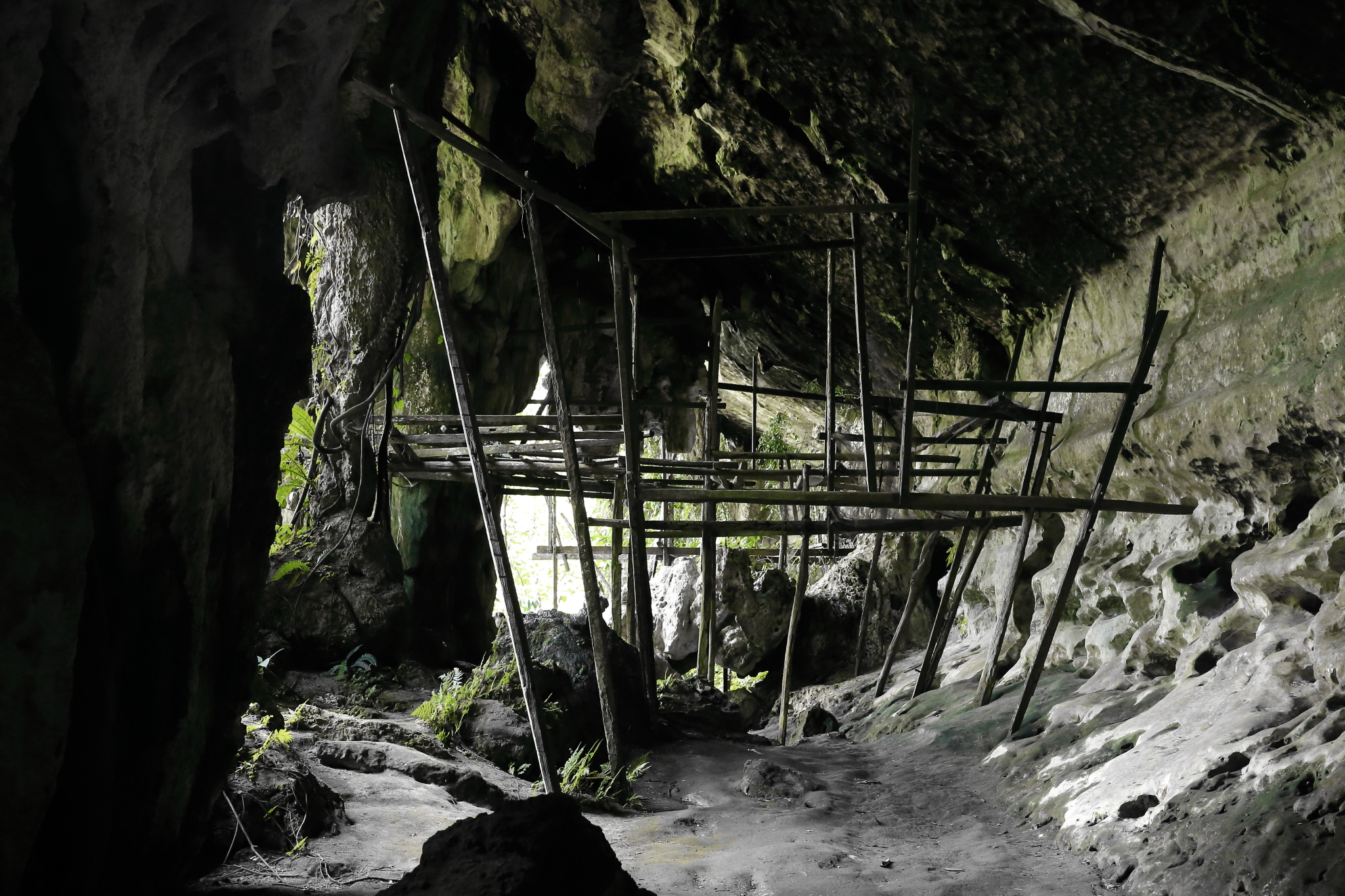 Trader Cave，早期燕窩採集者的居所遺跡。