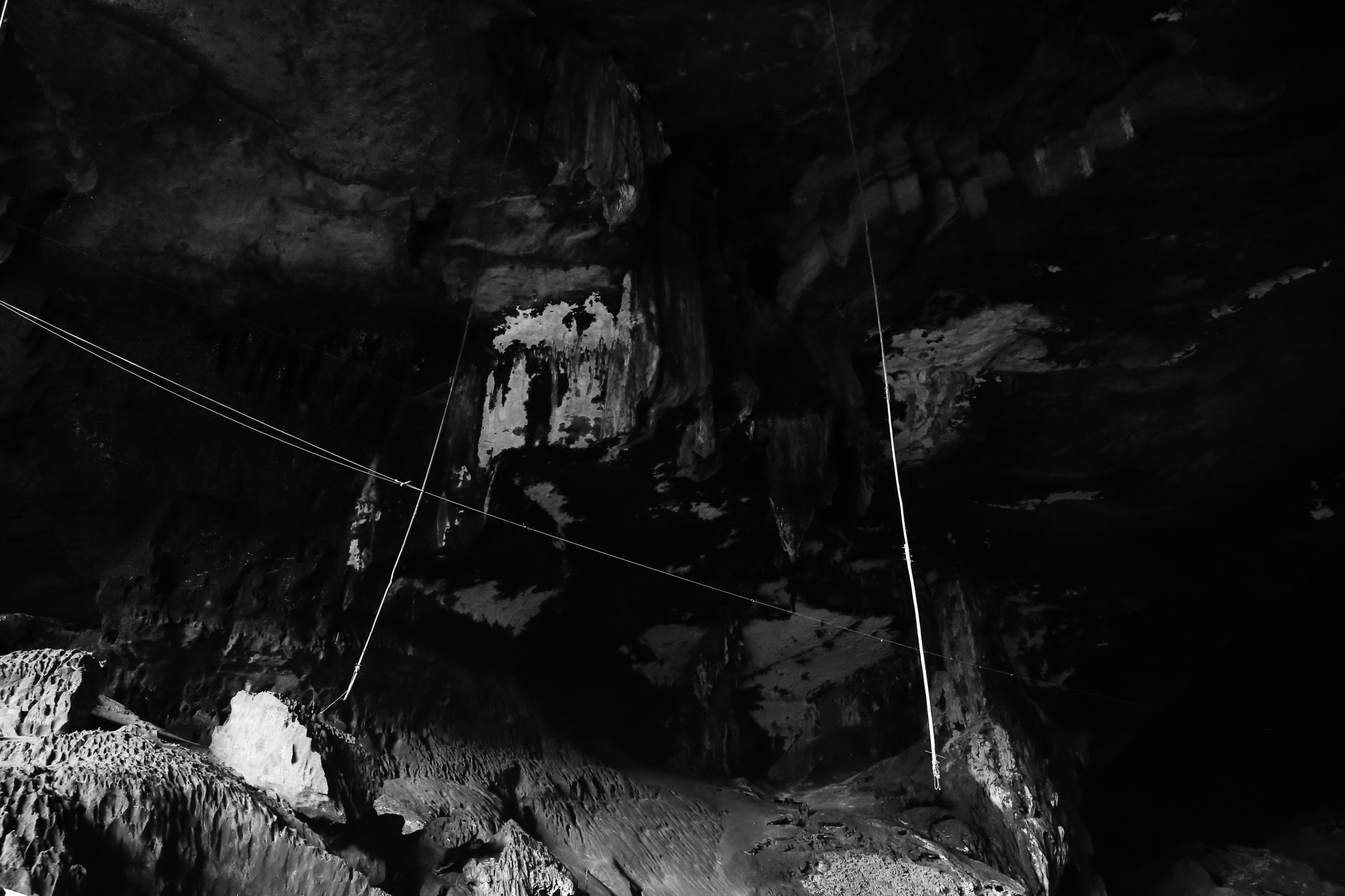Great Cave，燕窩採集者的竹竿自洞頂垂下。