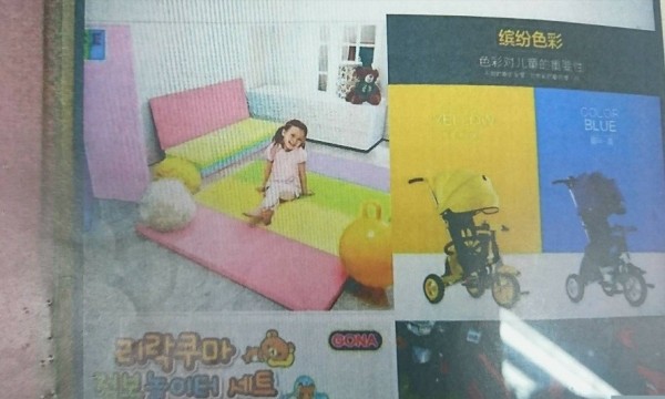 羅女在臉書開假團購，先收款、不交貨，詐財多起。（警方提供）