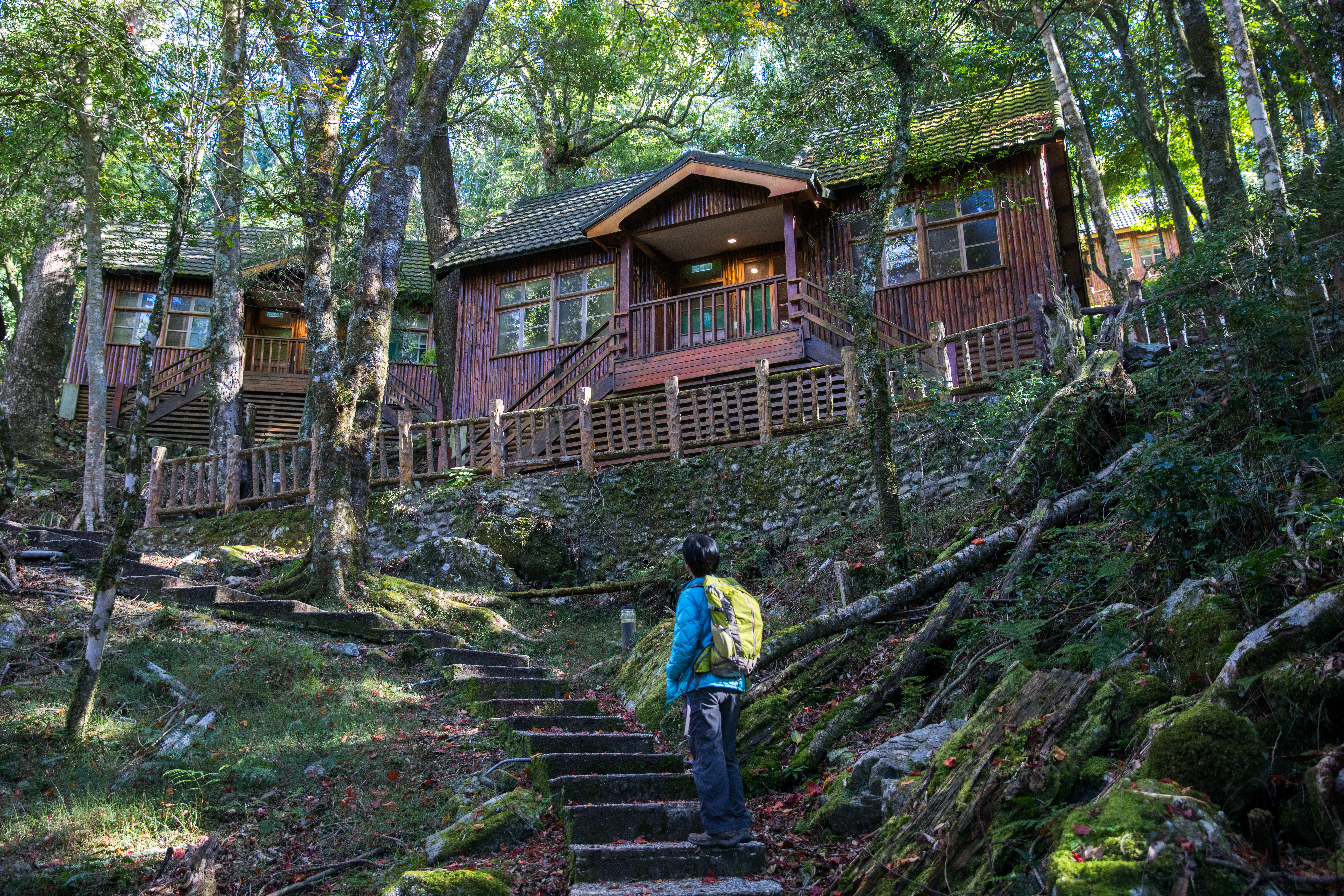 位在林間「小木屋」，在樹木包圍下，吸收自然界的精華。
