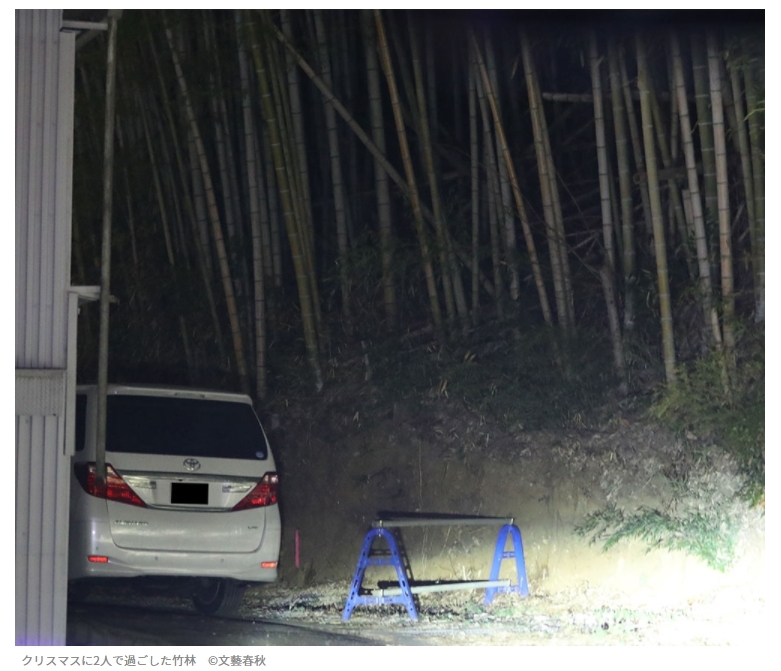 《週刊文春》拍到秋元主播車震的地點，除了圖示的竹林，也有堆肥小屋。（翻攝《週刊文春》網站）