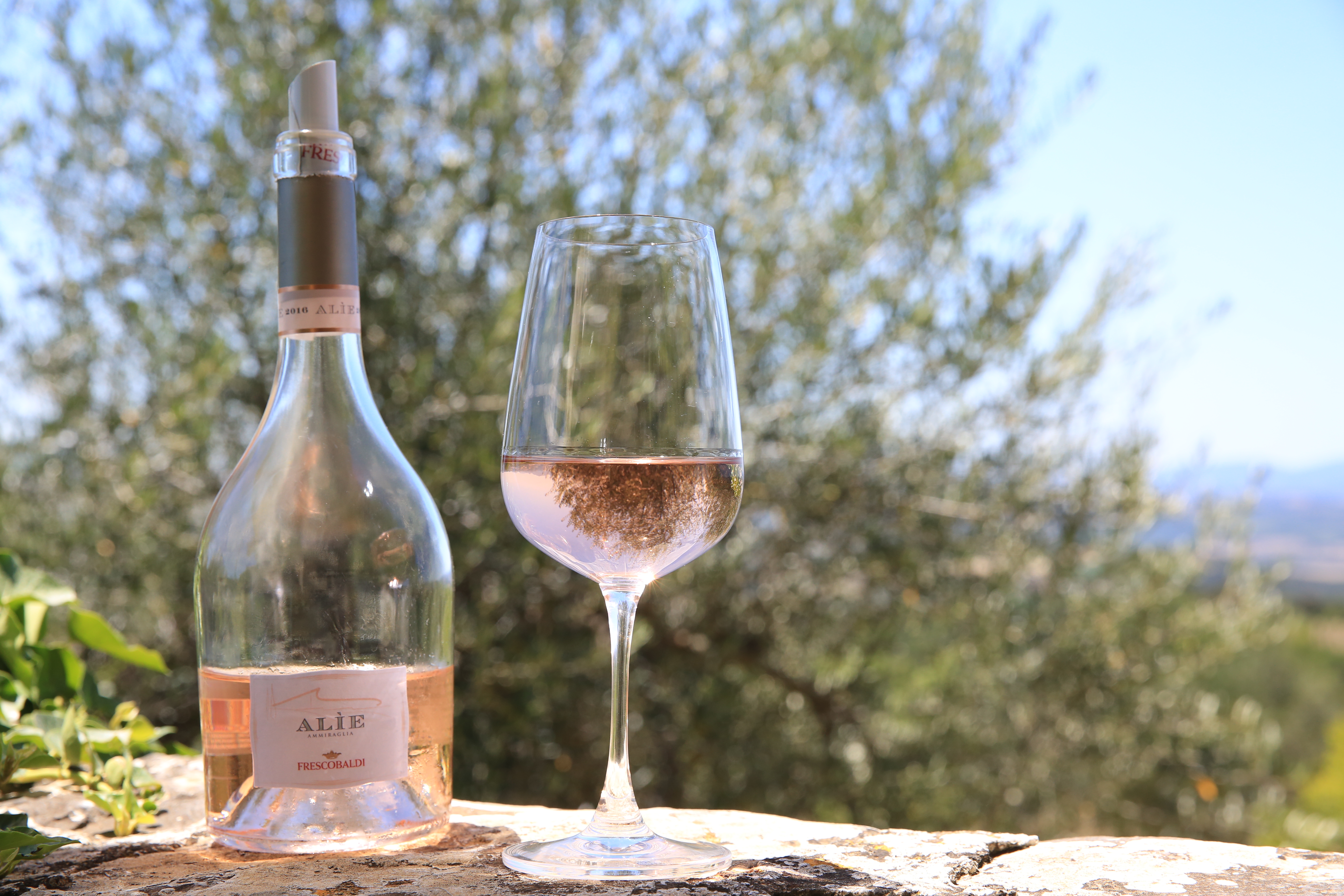 有著草莓、柑橘香氣的「Alìe」粉紅酒，來自佛卡提家族位於托斯卡尼最南端的Ammiraglia莊園。