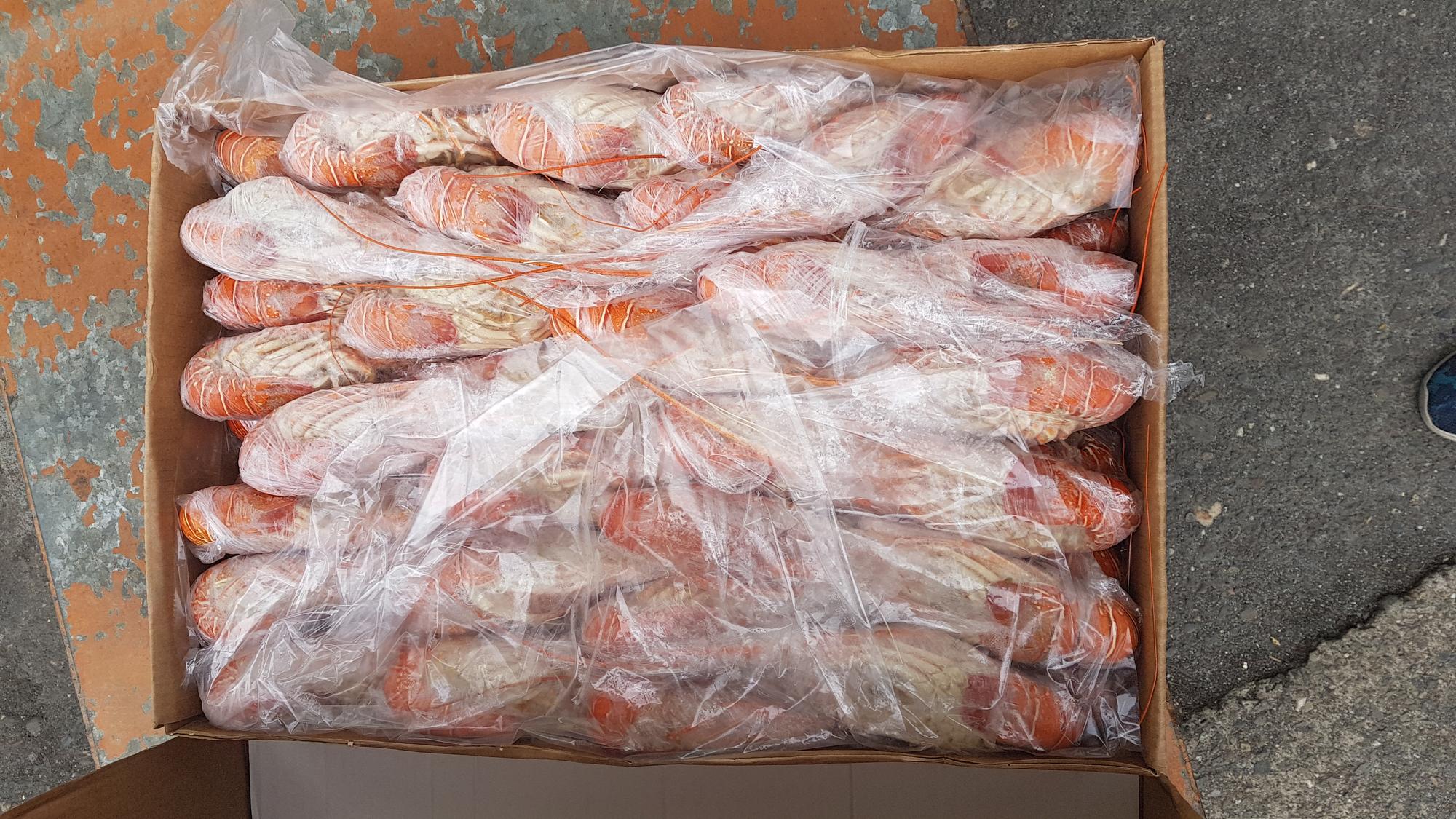 黑心廠商竟將逾期近2年的龍蝦再分裝批發給外燴業者。（保七總隊提供）
