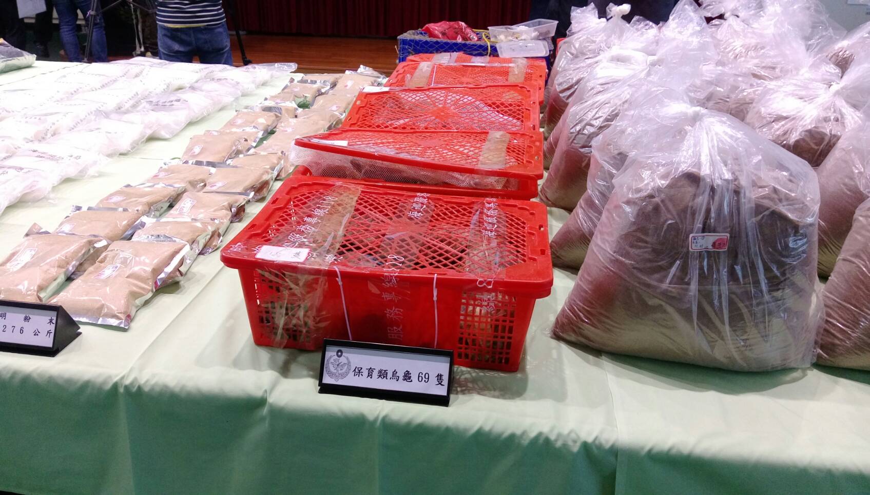 返航的台灣船上出現69隻保育類食蛇龜，令查緝人員感到不解。（翻攝畫面）