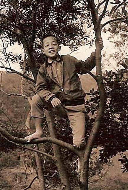 童年的賴清德如猴子一樣爬上樹,嘻嘻笑著,玩瘋了的男孩衣著乾淨,卡其制服的釦子扣到第一顆。(賴清德提供)