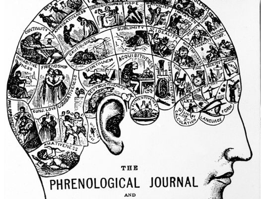 十九世紀「顱相學」期刊封面，畫中呈現腦各個部位活動與思考的對應關係。（wiki）