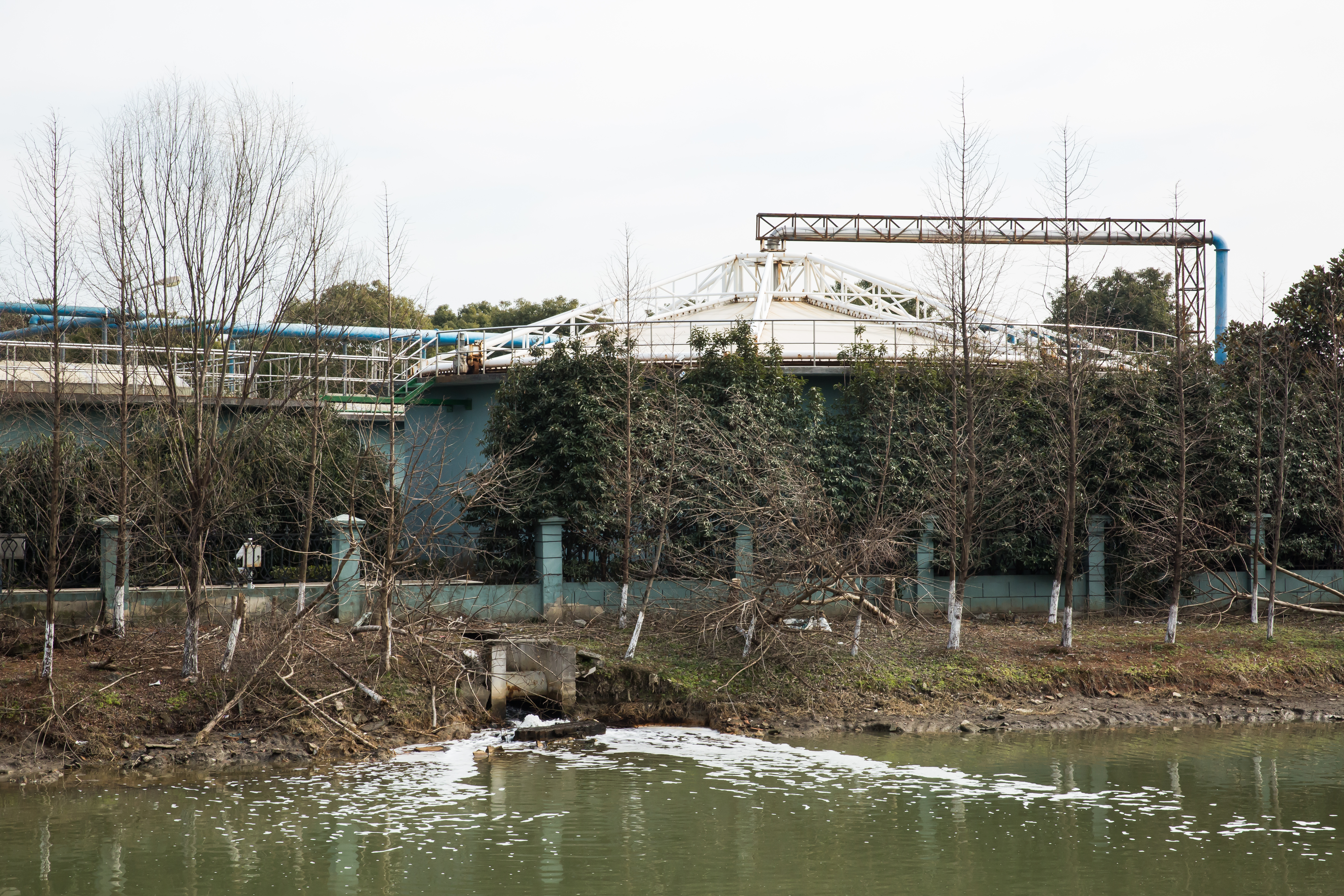 昆山台商指出，廠商是把廢水排到汙水處理廠，現在廠商排放均達標準，廢水處理廠的排放達標了嗎？裡面恐怕有不為人知的內幕！
