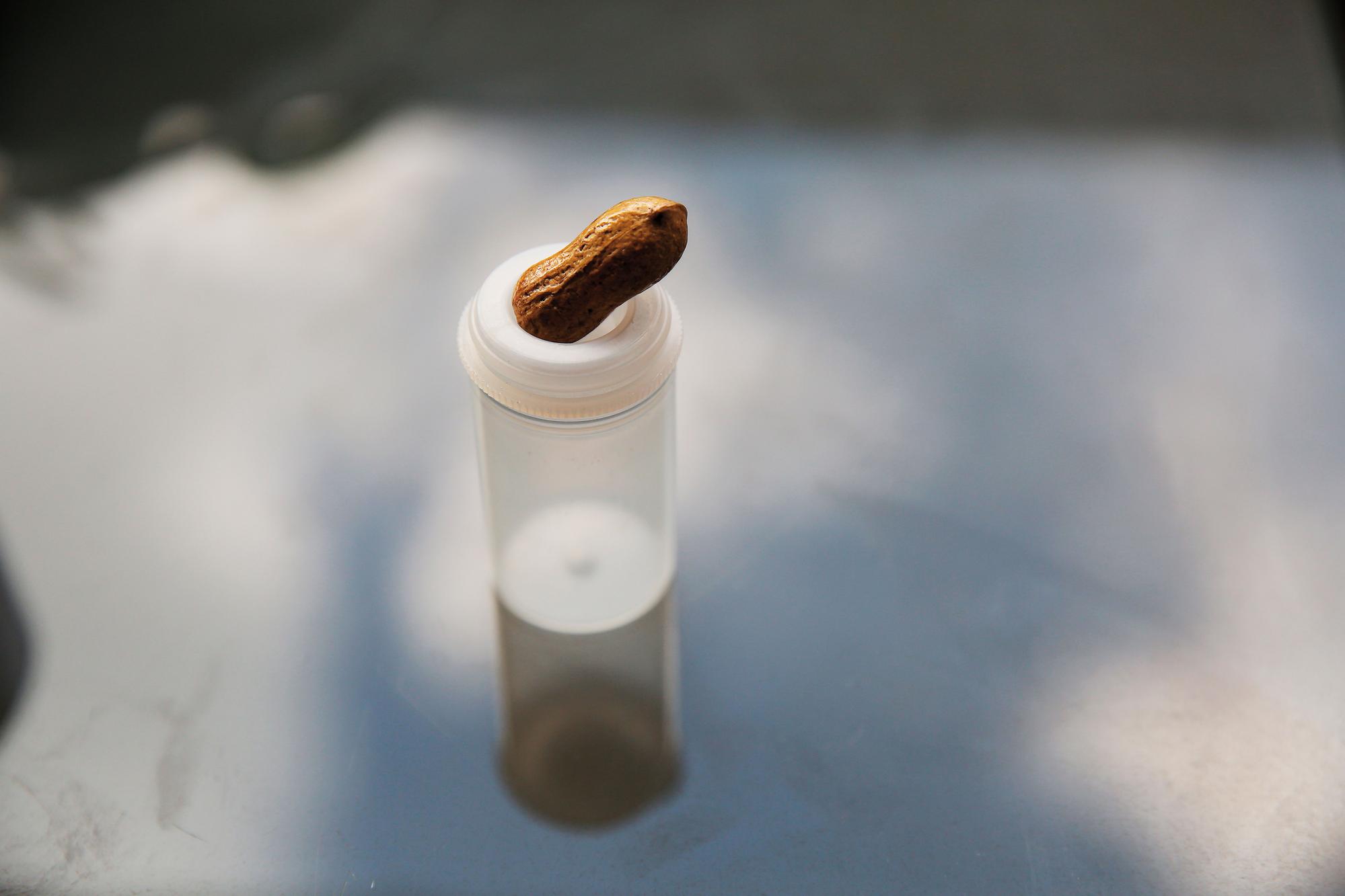 搖一搖會有聲音的花生殼是燕子的寶貝，那是先生送給她的相識週年禮物，至今她仍未打開花生殼，謹慎地收在底片盒裡。