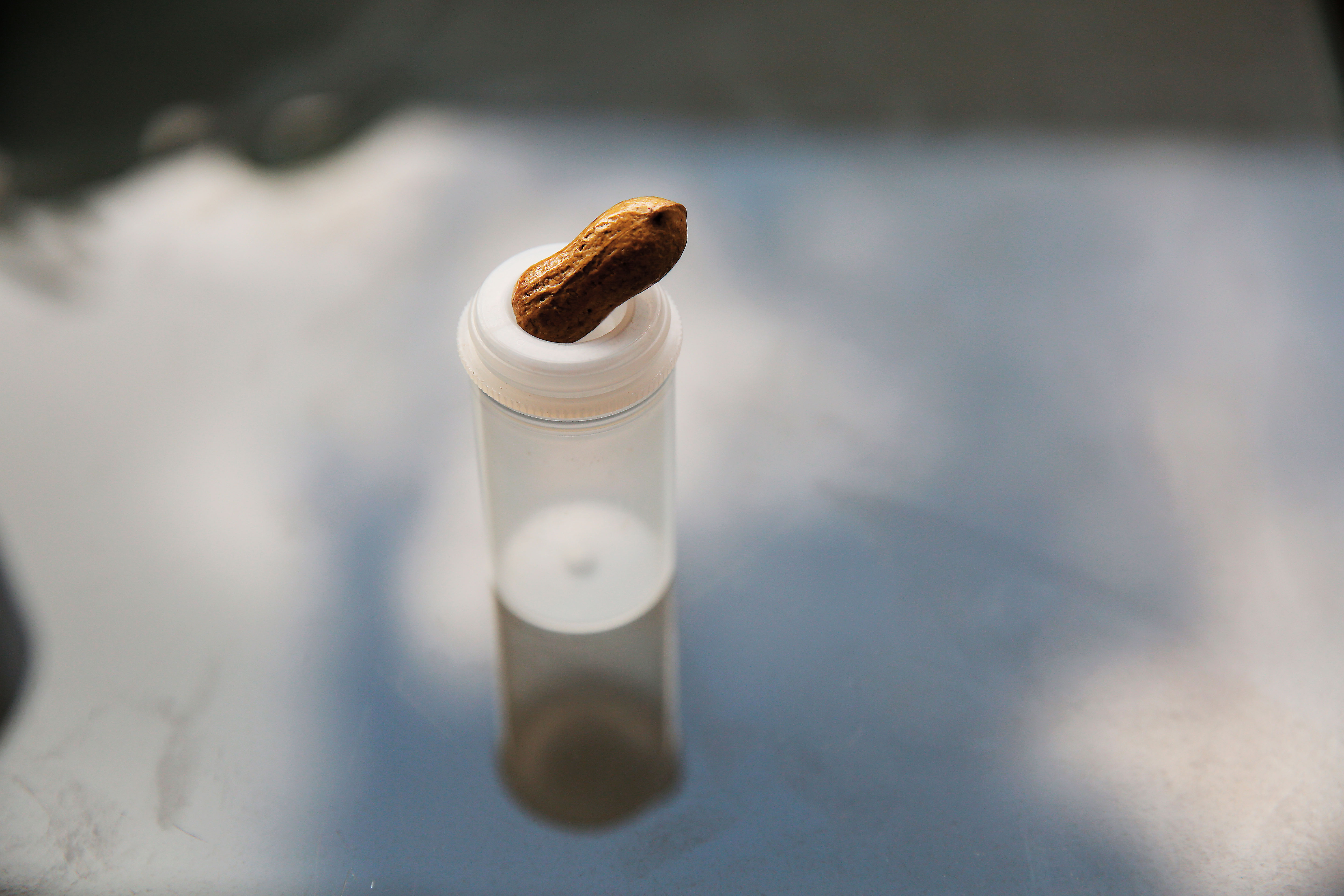搖一搖會有聲音的花生殼是燕子的寶貝，那是先生送給她的相識週年禮物，至今她仍未打開花生殼，謹慎地收在底片盒裡。