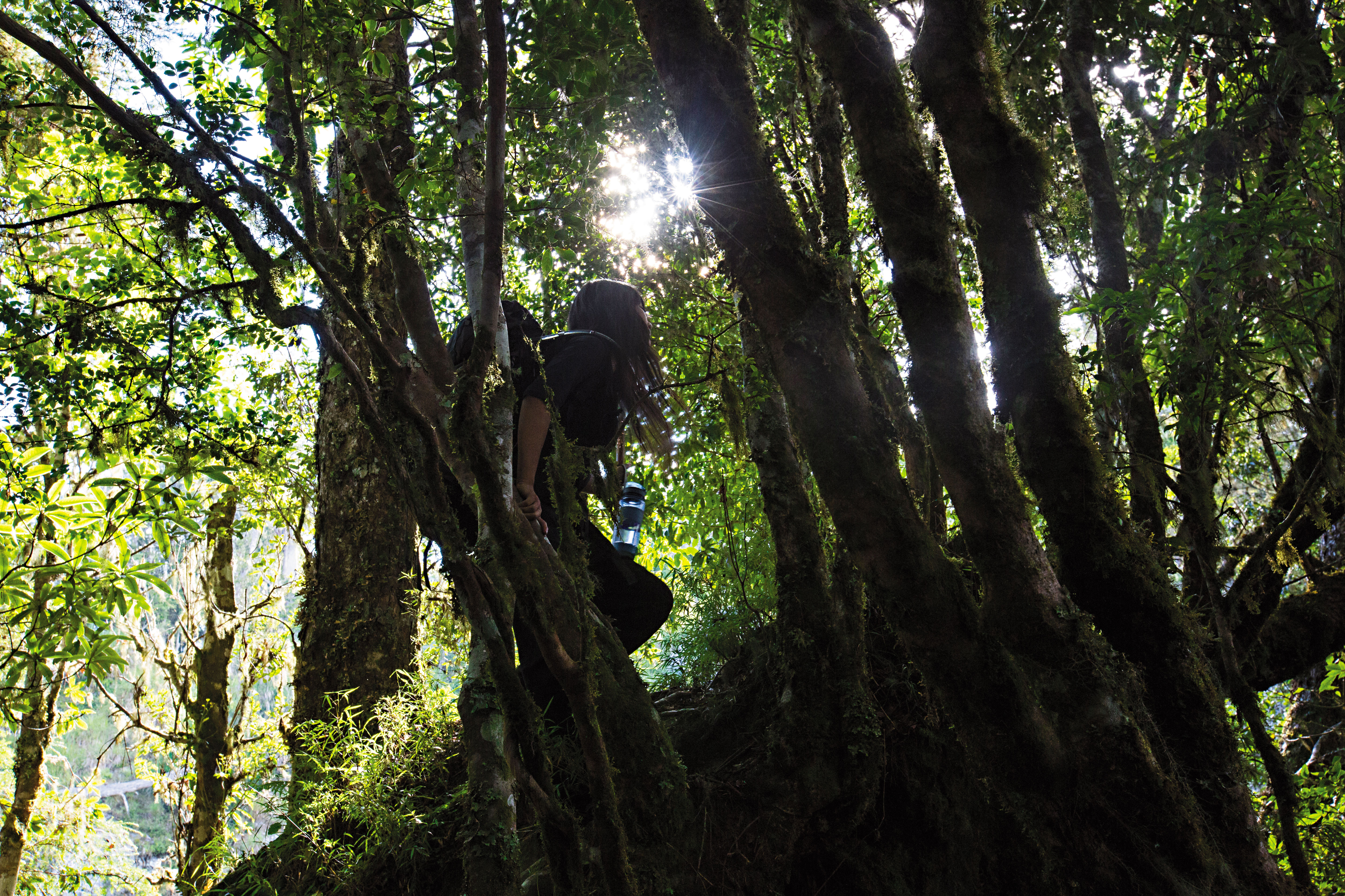 她現在不叫白凜，名為「雪娃」，但依然在山林間穿行，帶我們前往奇萊東稜深處的「百合帝國」。