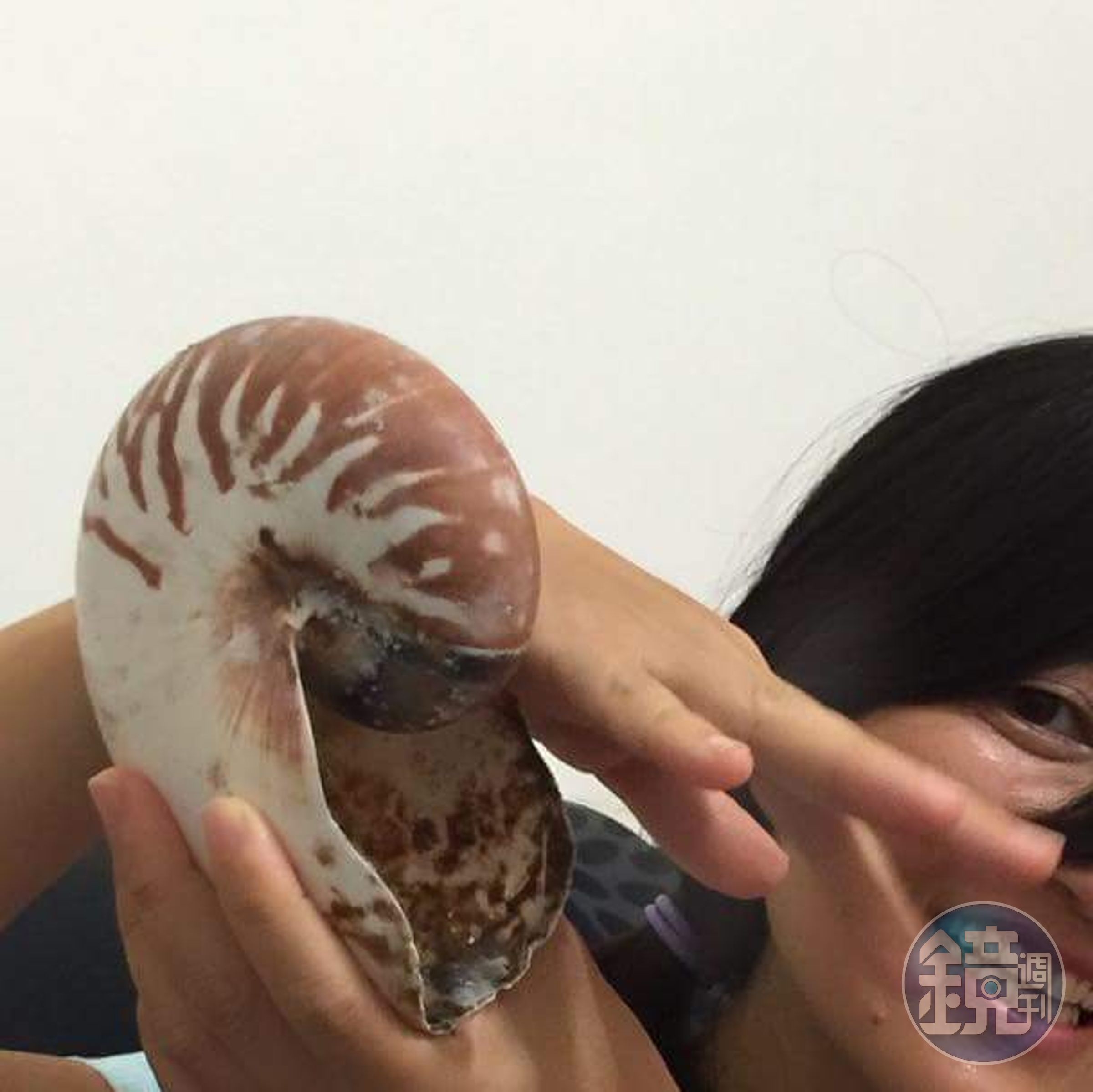 阿芒（阿芒提供）