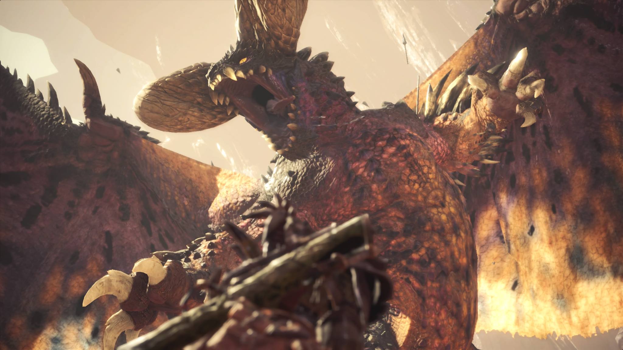 大家來狩獵吧！享受當獵人的快感