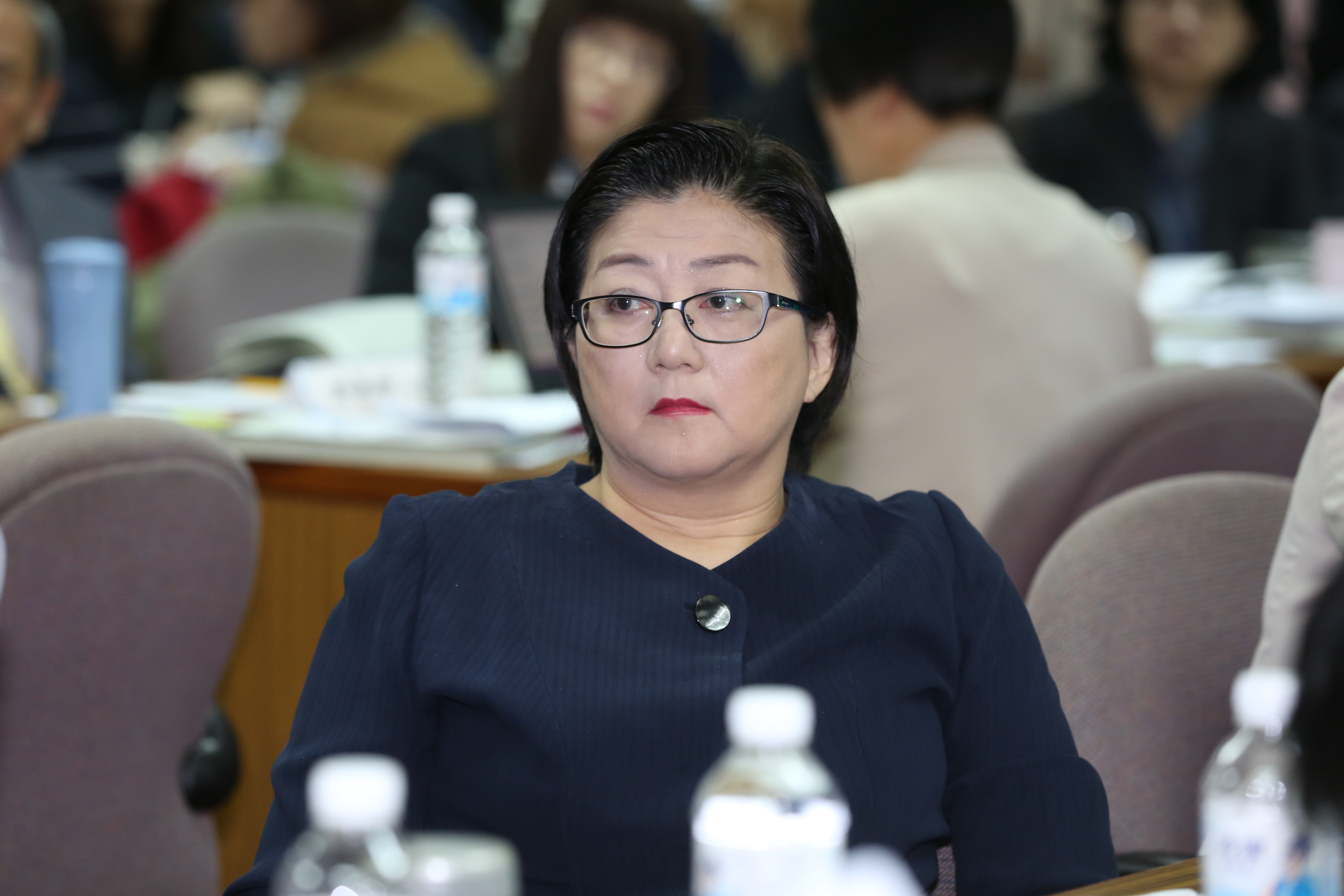 雷倩形容目前婦聯會就像被一群「禿鷹」聚集的公司，無論用多少資料給這些「禿鷹」看，他們根本不在意。