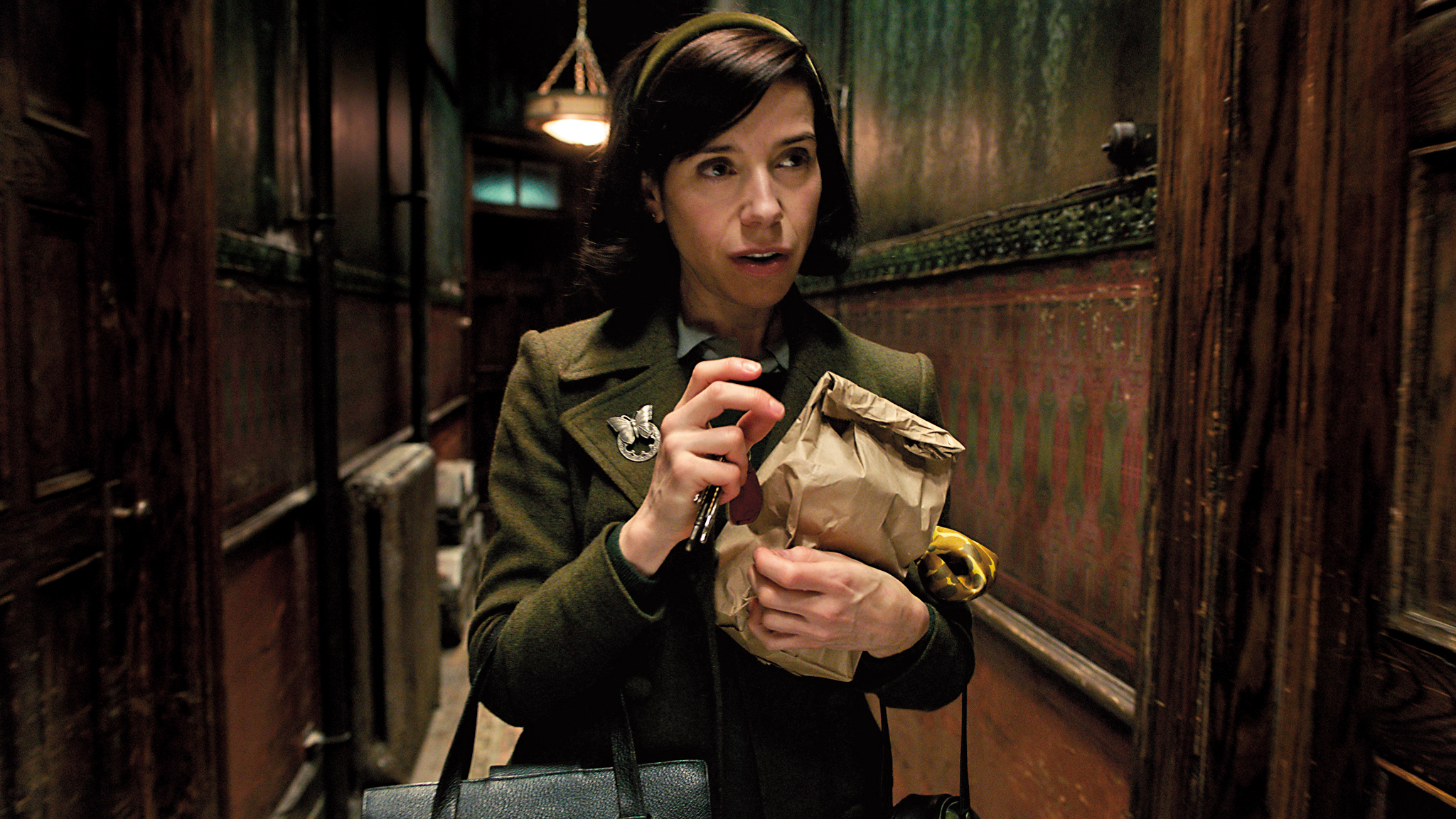 《水底情深》今年入圍13項居冠，女星莎莉霍金斯亦獲最佳女主角提名。（福斯提供）