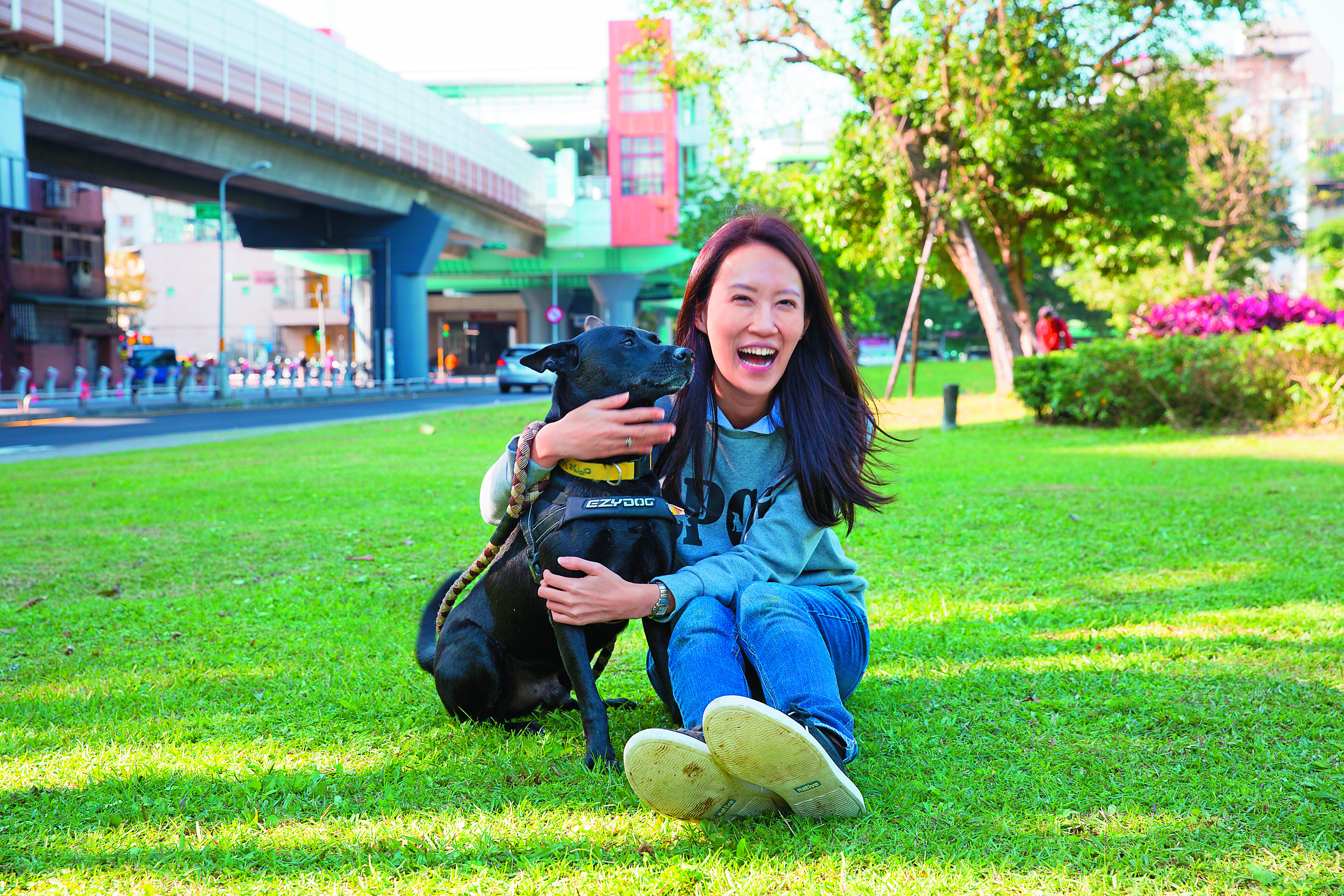 TSPCA執行長姜怡如趁著台北難得的好天氣，帶著協會救援的小白外出散步。