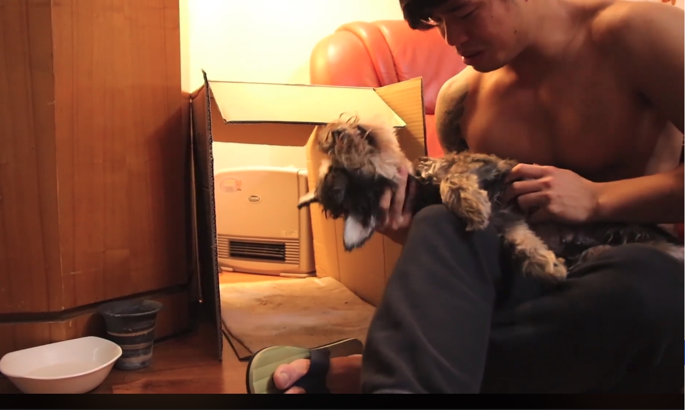 【淚崩片】毛孩臨終撐著不閉眼　就為了等他們