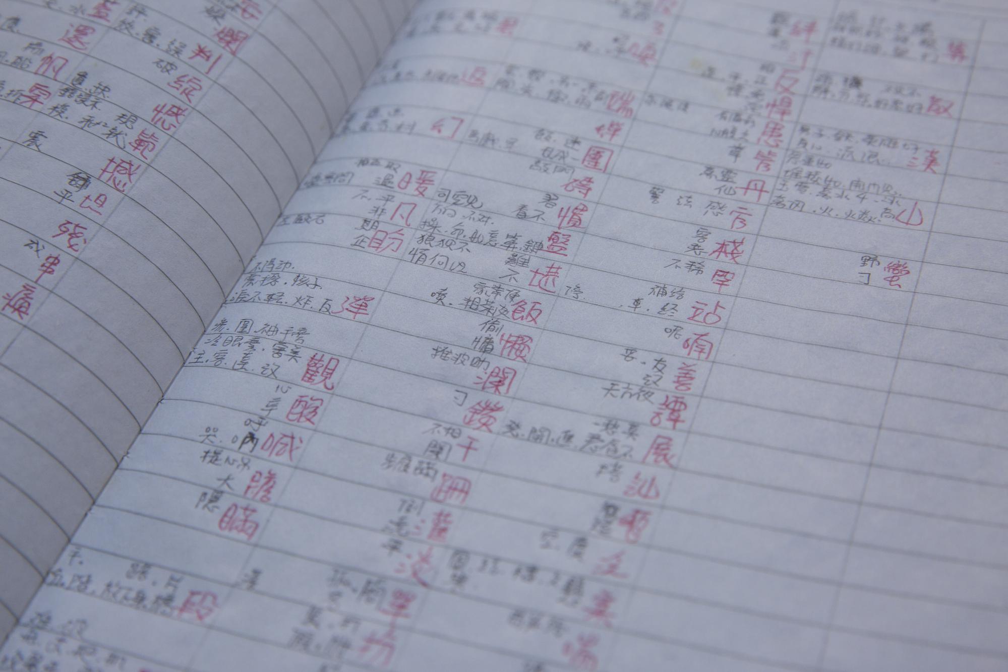 翻開她在獄中的筆記本，她自製表格以韻腳歸納詞彙，成為她創作歌詞的利器。