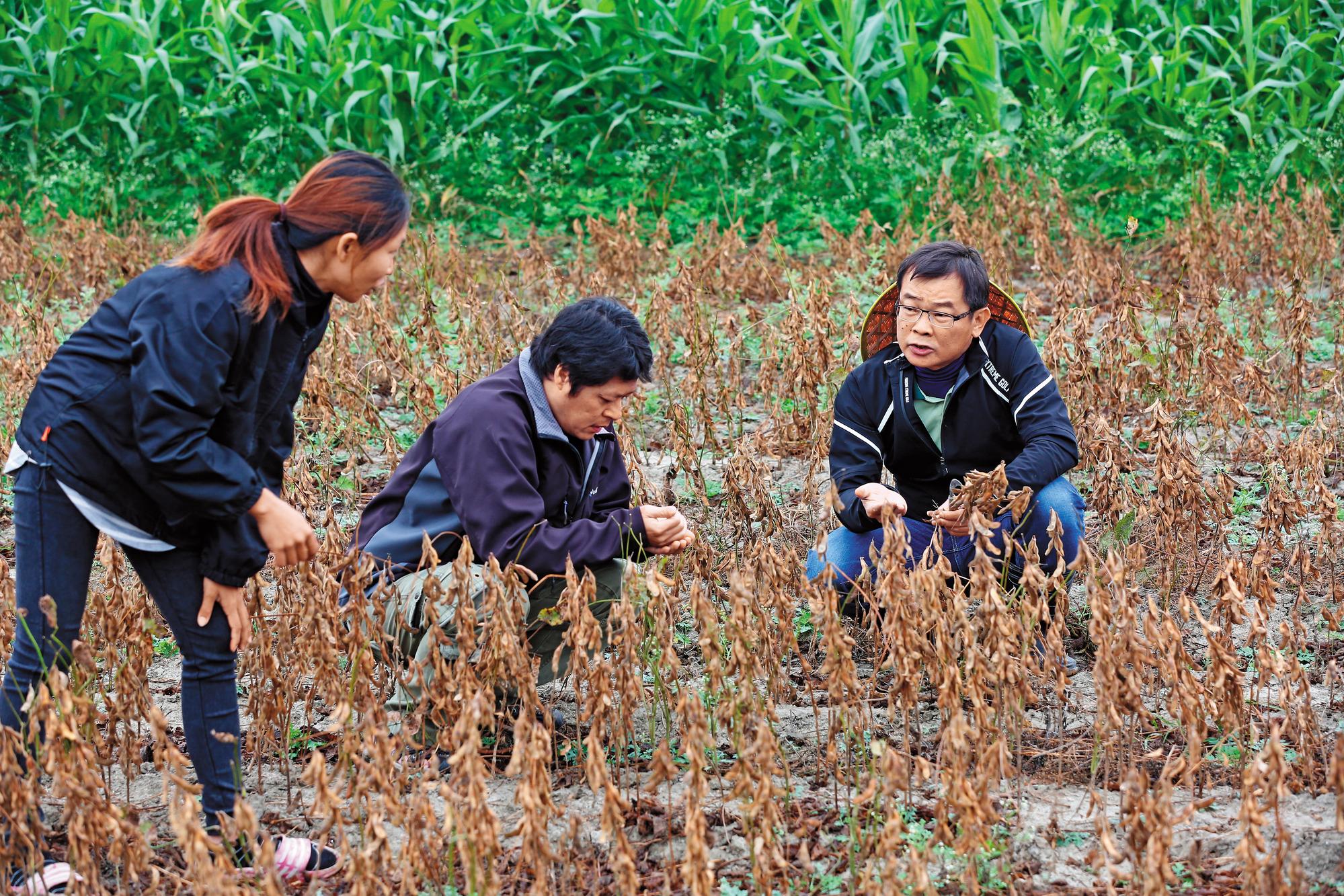 2015年，鄭惠民（右）與主婦聯盟合作，使用契作農民種植的有機黑豆。中為主婦聯盟產品開發部專員葉申酉、左為契作農民陳瀅淨。