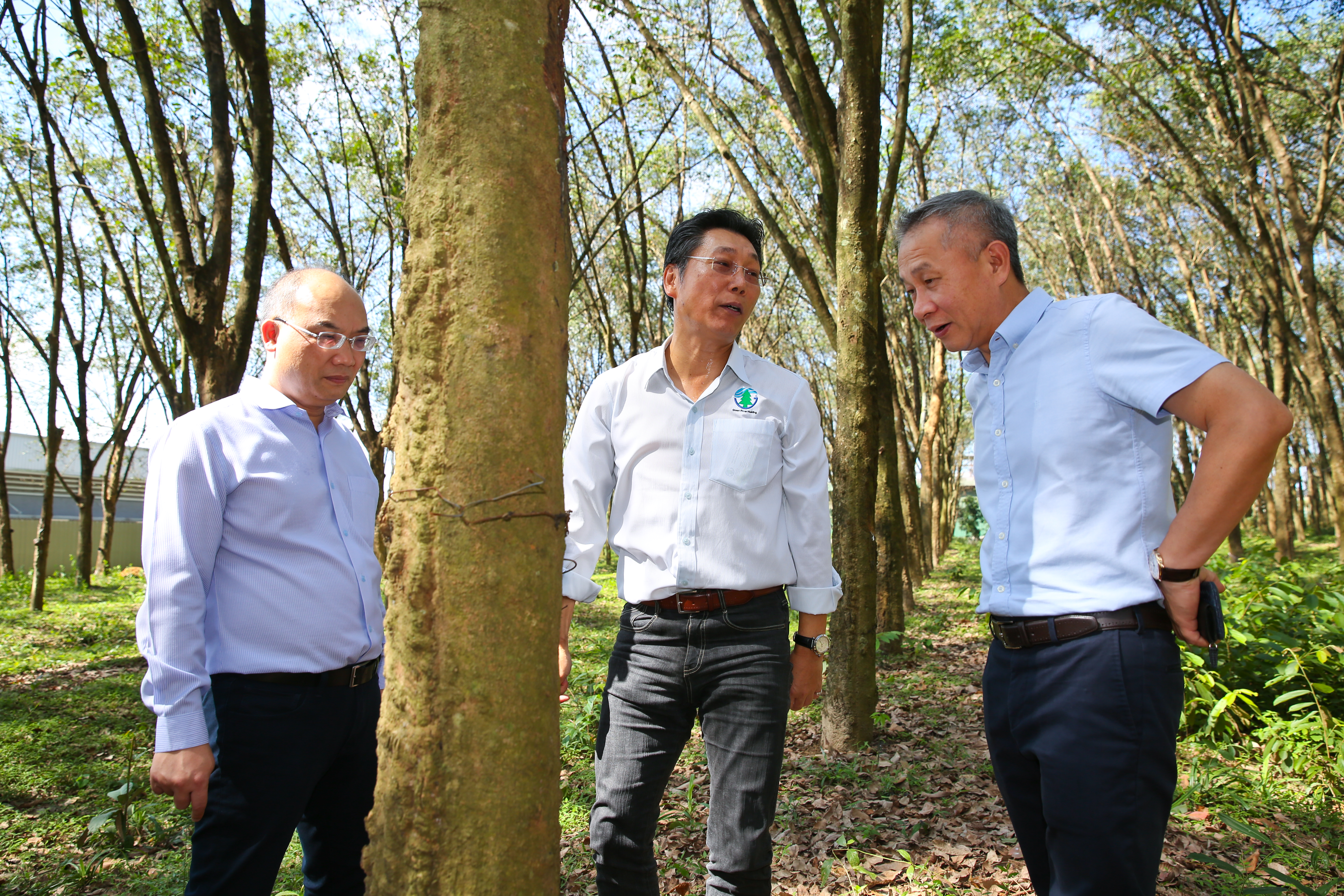 看上泰國南部量大便宜的橡膠木原料，謝榮輝（右）邀昔日同窗黃登士（中）、李木文（右）赴合艾一起打天下。