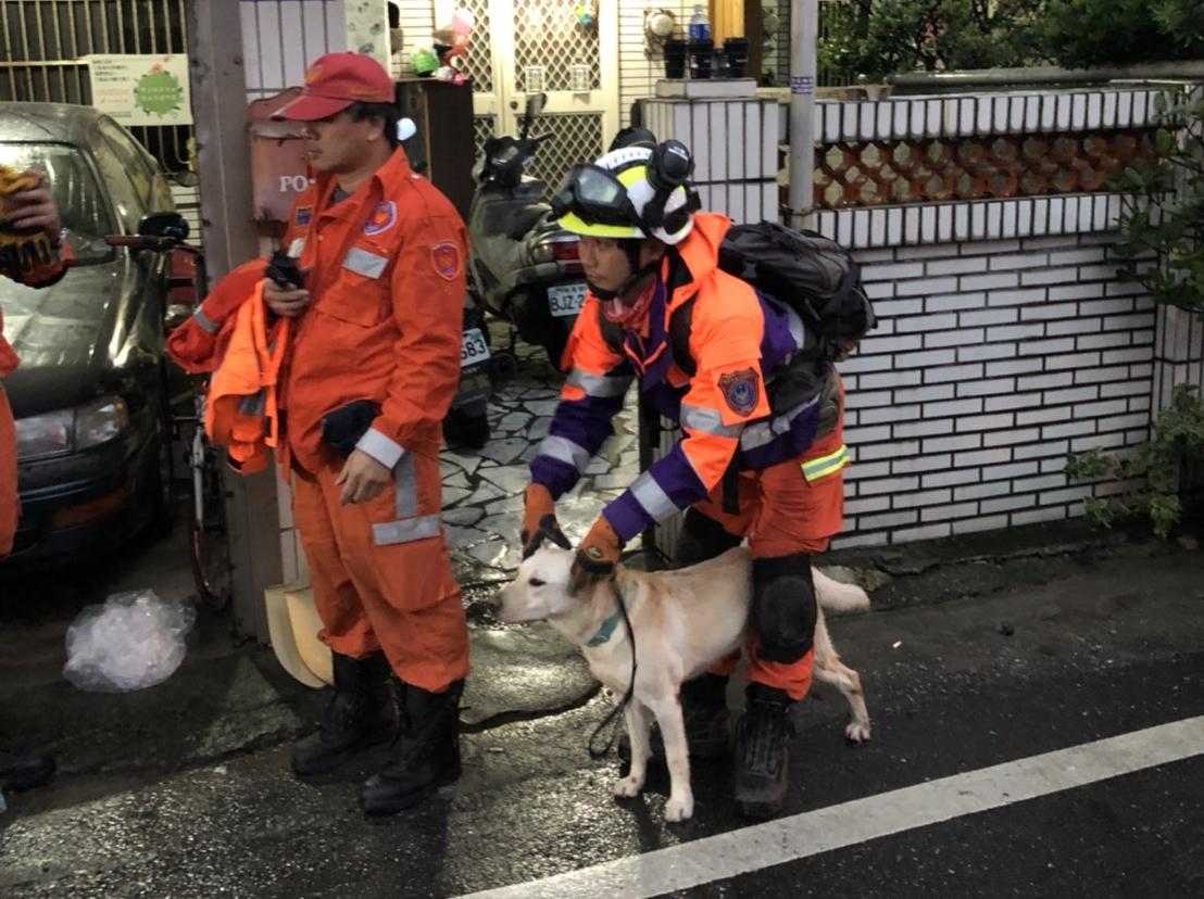 救難人員經過初步的整理入口 ,搜救犬的也正式登場進入雲翠大樓。