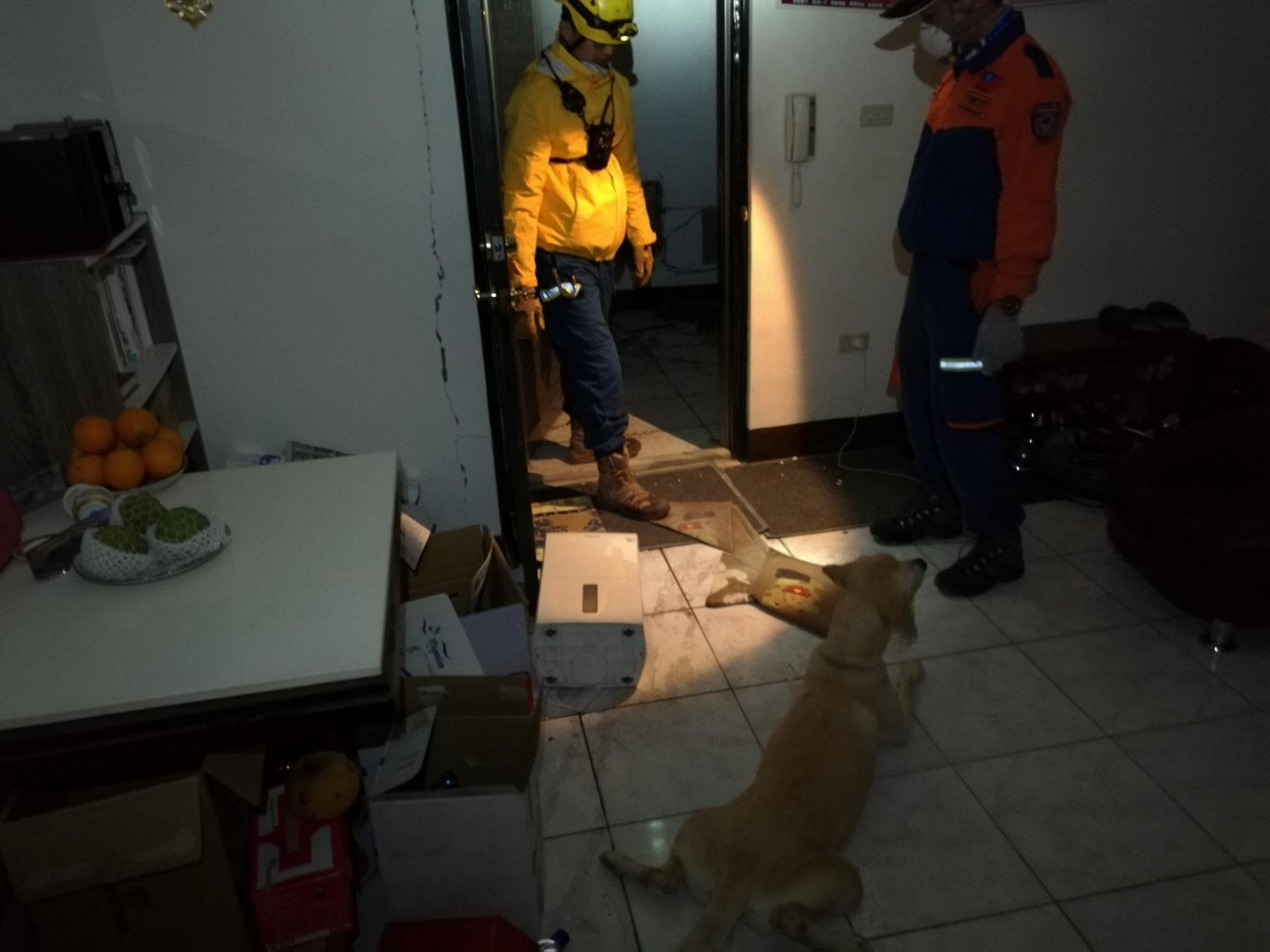 投入救災工作的屢屢建功搜救犬「健康」，將轉移陣地至雲門翠提持續搜索。