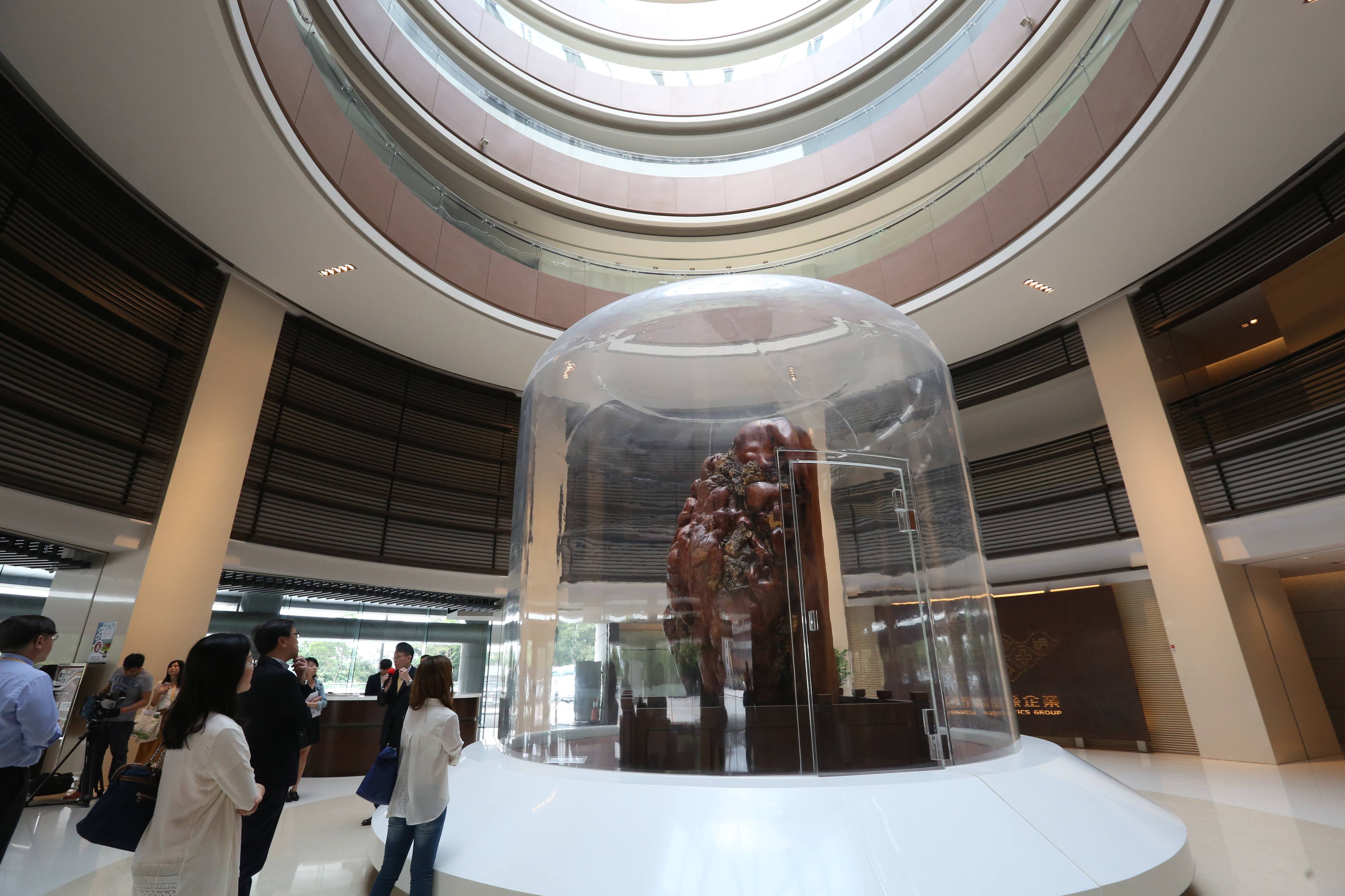 要價1億多元的木化石，是台塑企業創辦人王永慶唯一收藏。