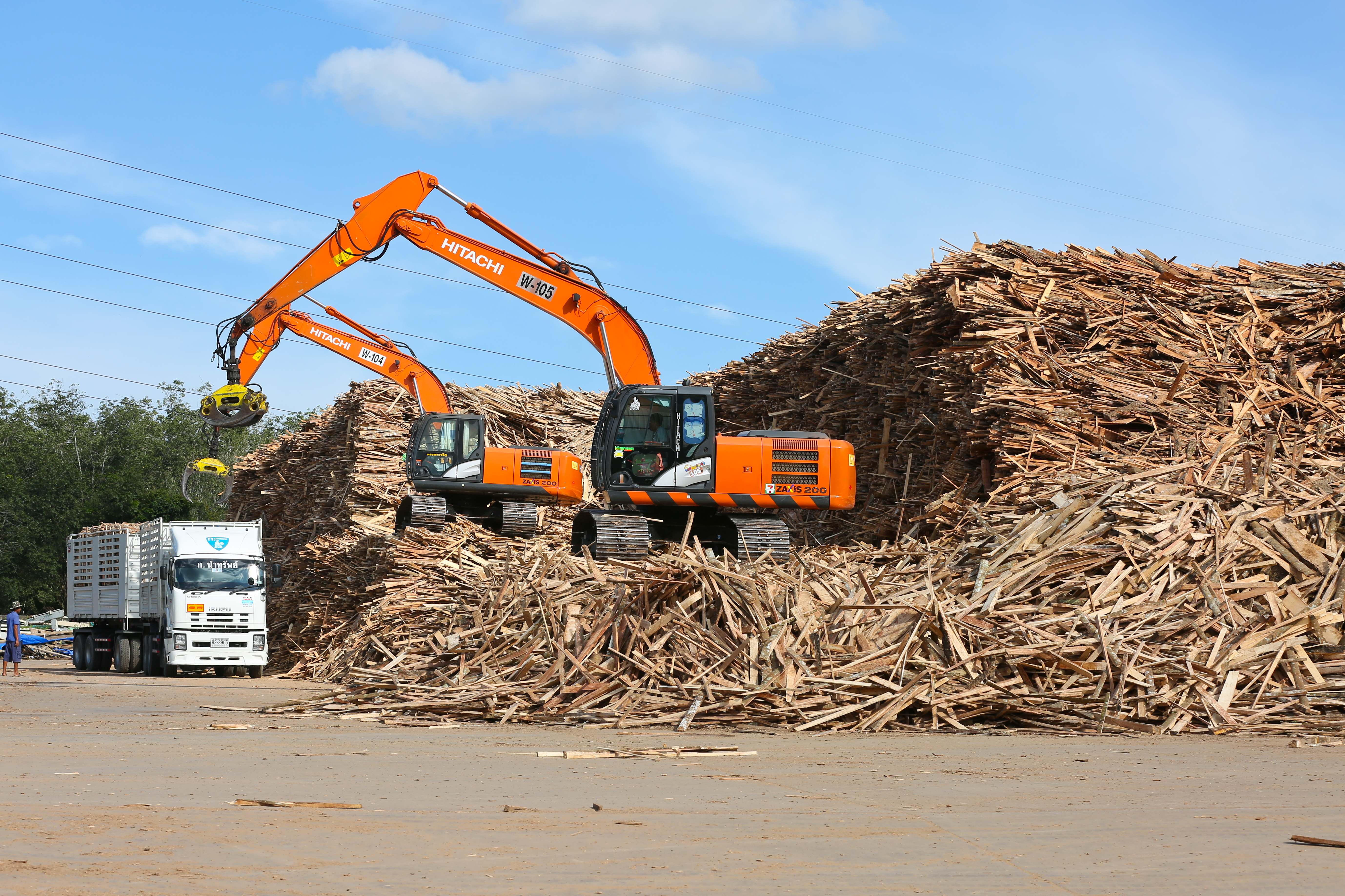 堆積如山的廢棄橡膠木，均是可加工製程塑合板的原料。