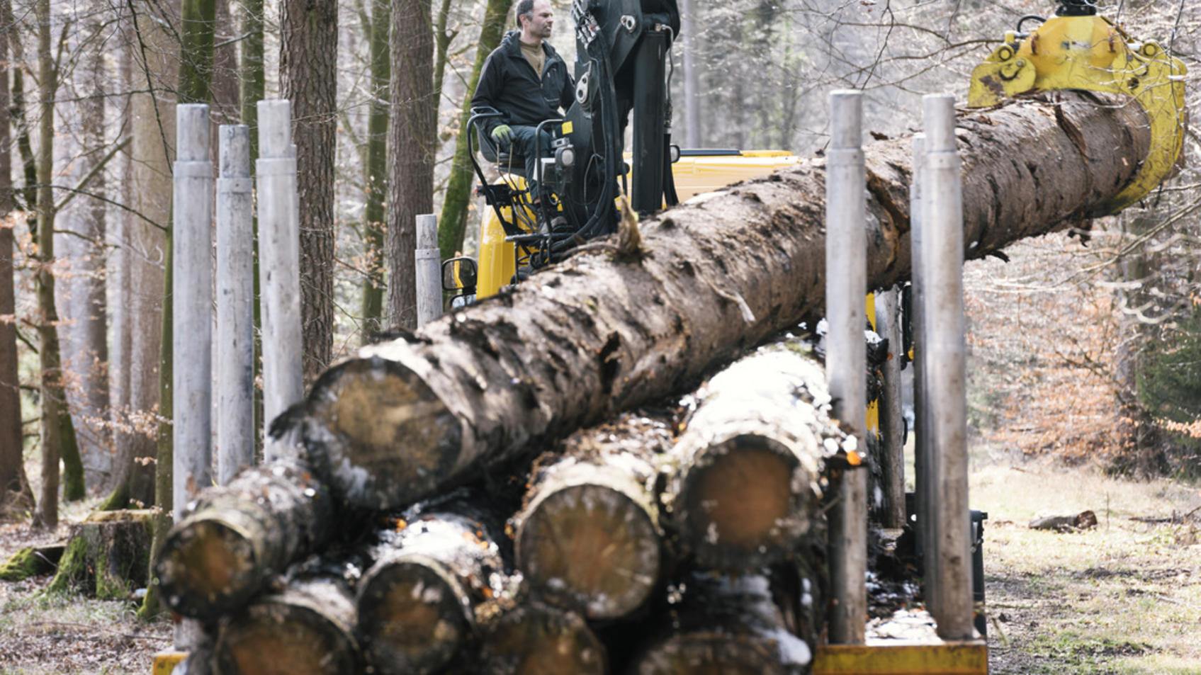木材是最古老的建造材料之一。（東方IC）