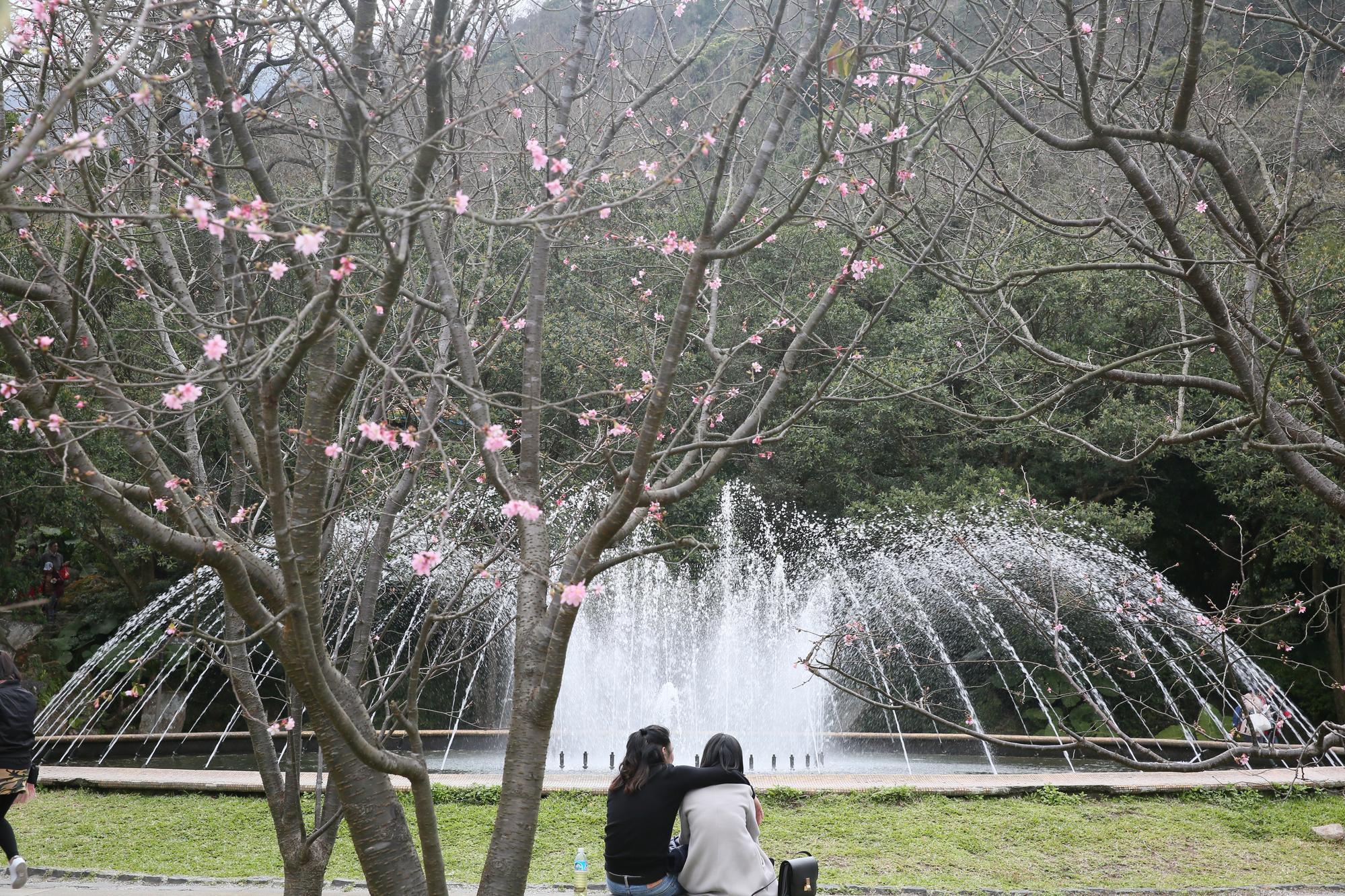 今天清晨強烈大陸冷氣團及輻射冷卻影響,北部及東北部天氣寒冷,其他地區早晚亦寒冷。(示意圖,本刊資料照)