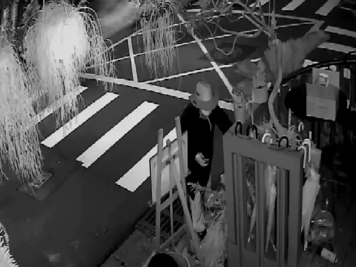 帶著漁夫帽刻意變裝的竊嫌，鎖定花苑打烊之際偷高價的「石松」植栽。（警方提供）