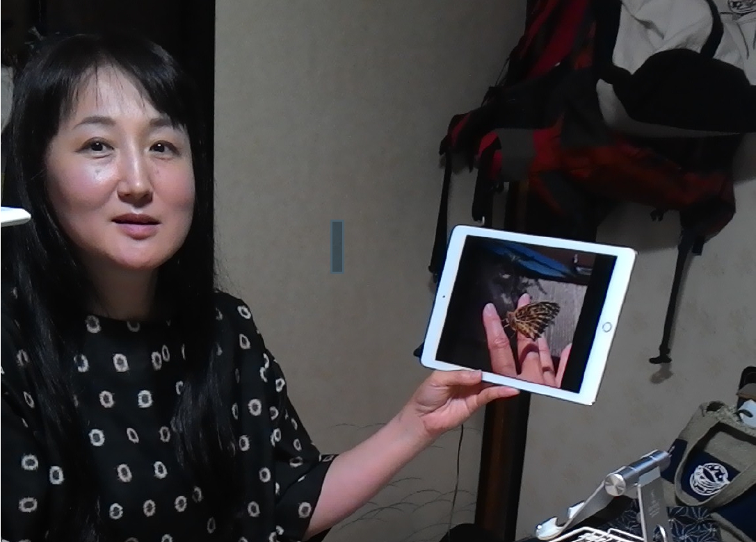 柳美里展示她從毛毛蟲直到飼養成蝶的成果。