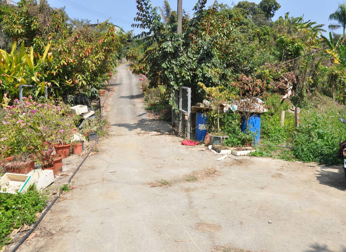 許吳婦人倒在果園入口處，身旁噴濺大量血跡，警方在約50公尺處也林男屍體。（警方提供）