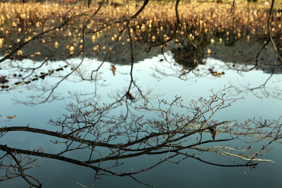 李屏賓擔任侯孝賢電影《刺客聶隠娘》的攝影指導，鏡頭如詩如畫。（光點影業提供）